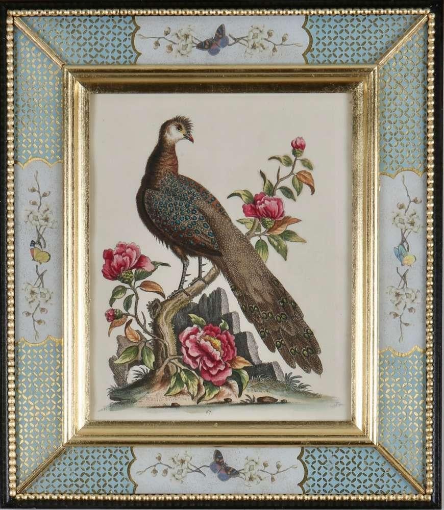Ensemble de douze gravures d'oiseaux du XVIIIe siècle en vente 3