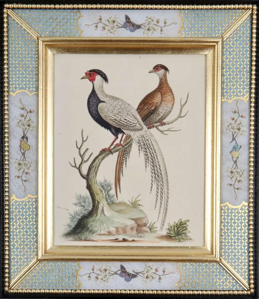Ensemble de douze gravures d'oiseaux du XVIIIe siècle en vente 8