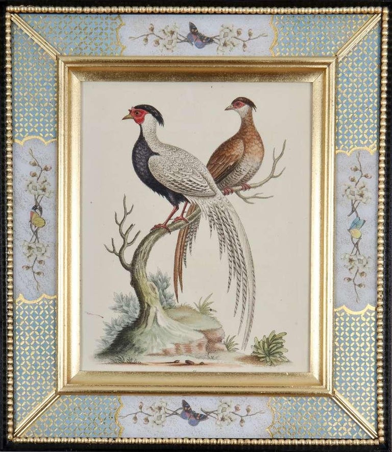 Set of Twelve 18th Century Engravings of Birds For Sale 8