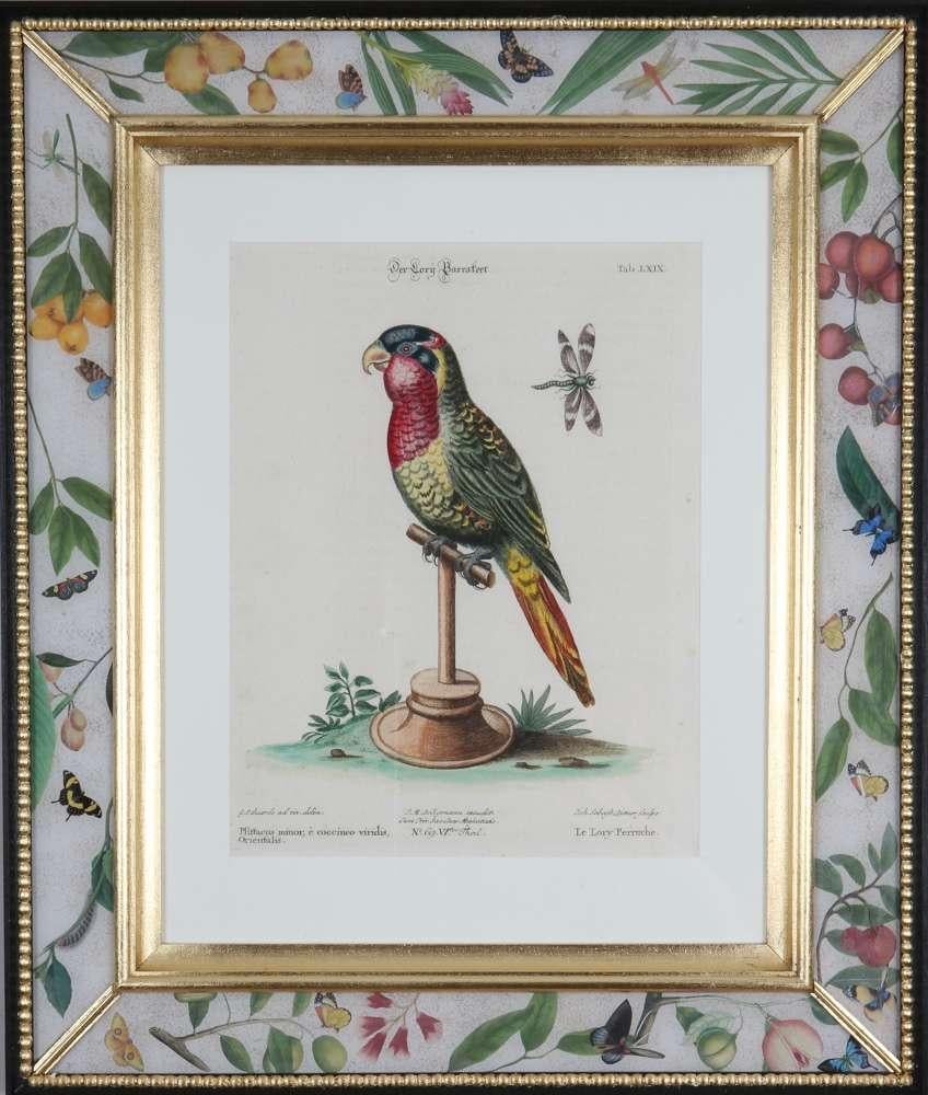  George Edwards, Engravings of Parrots, publié par Seligmann.  en vente 4