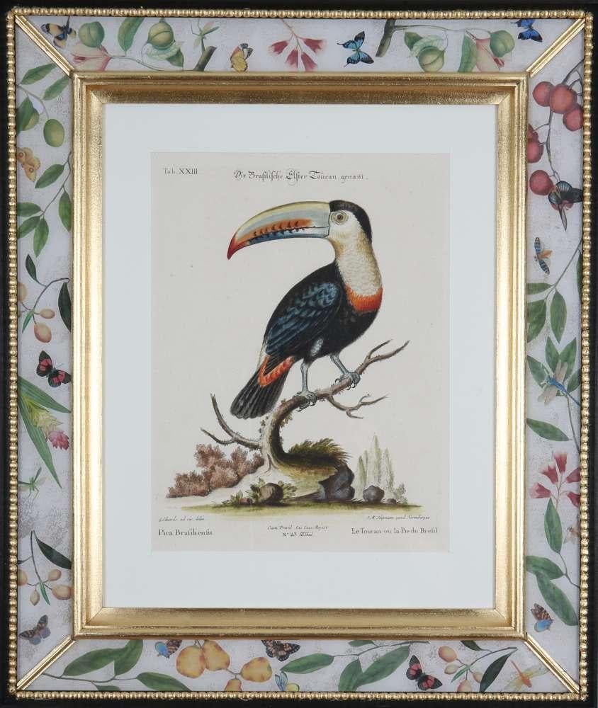  George Edwards, Engravings of Parrots, publié par Seligmann.  en vente 6