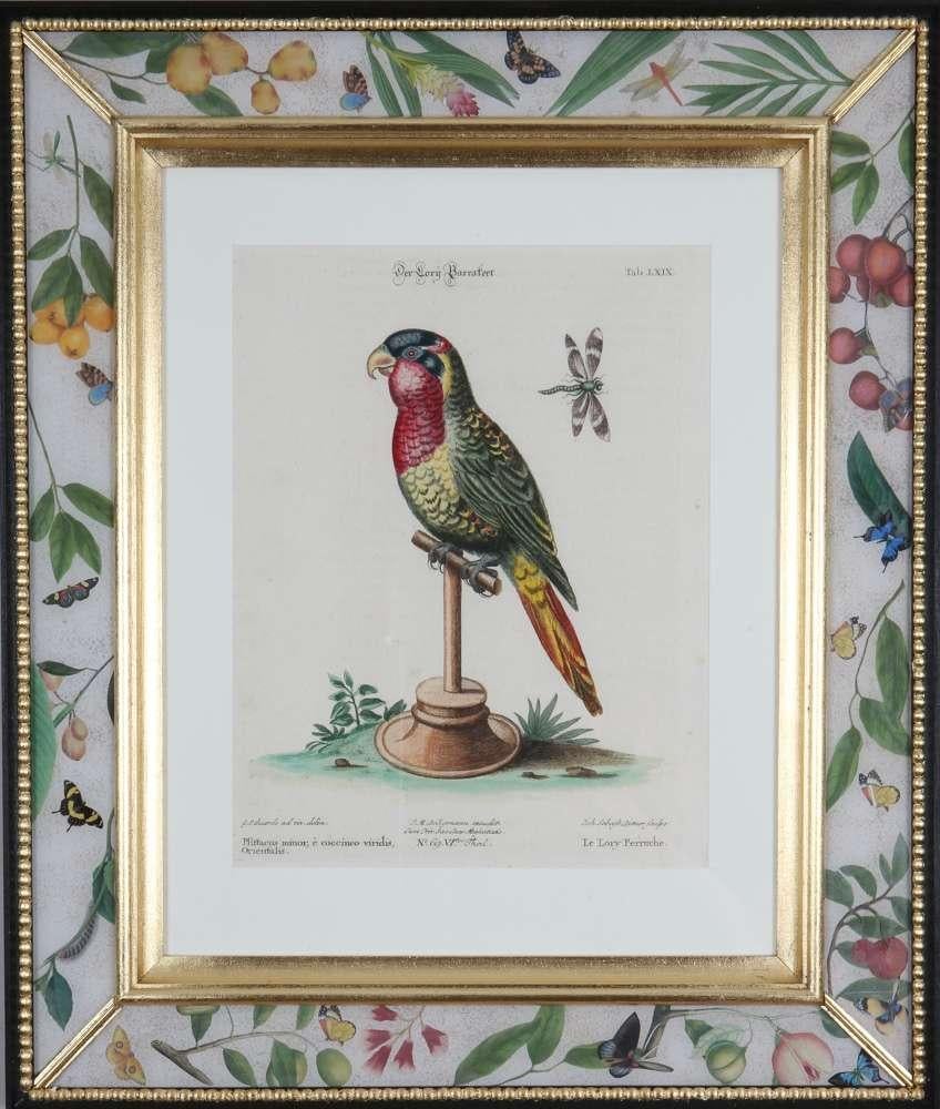 George Edwards: Set of Twelve Parrots, Published by Seligmann. For Sale 6