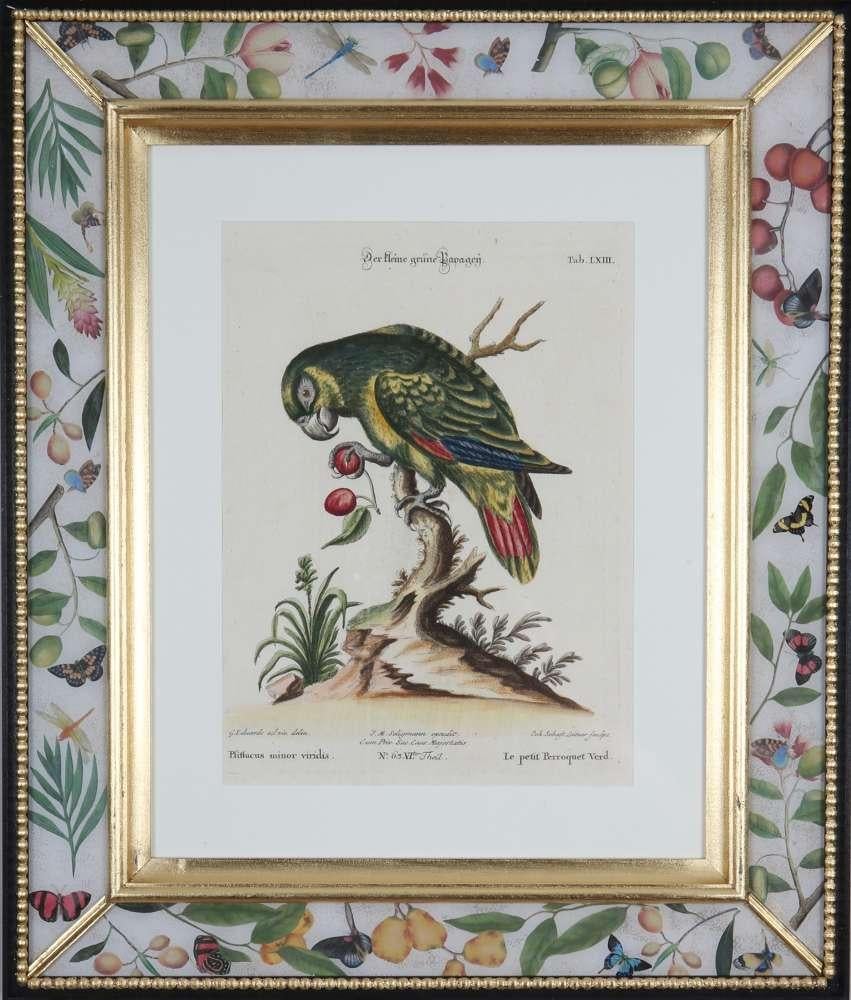 George Edwards : Ensemble de douze perroquets, publié par Seligmann. en vente 11