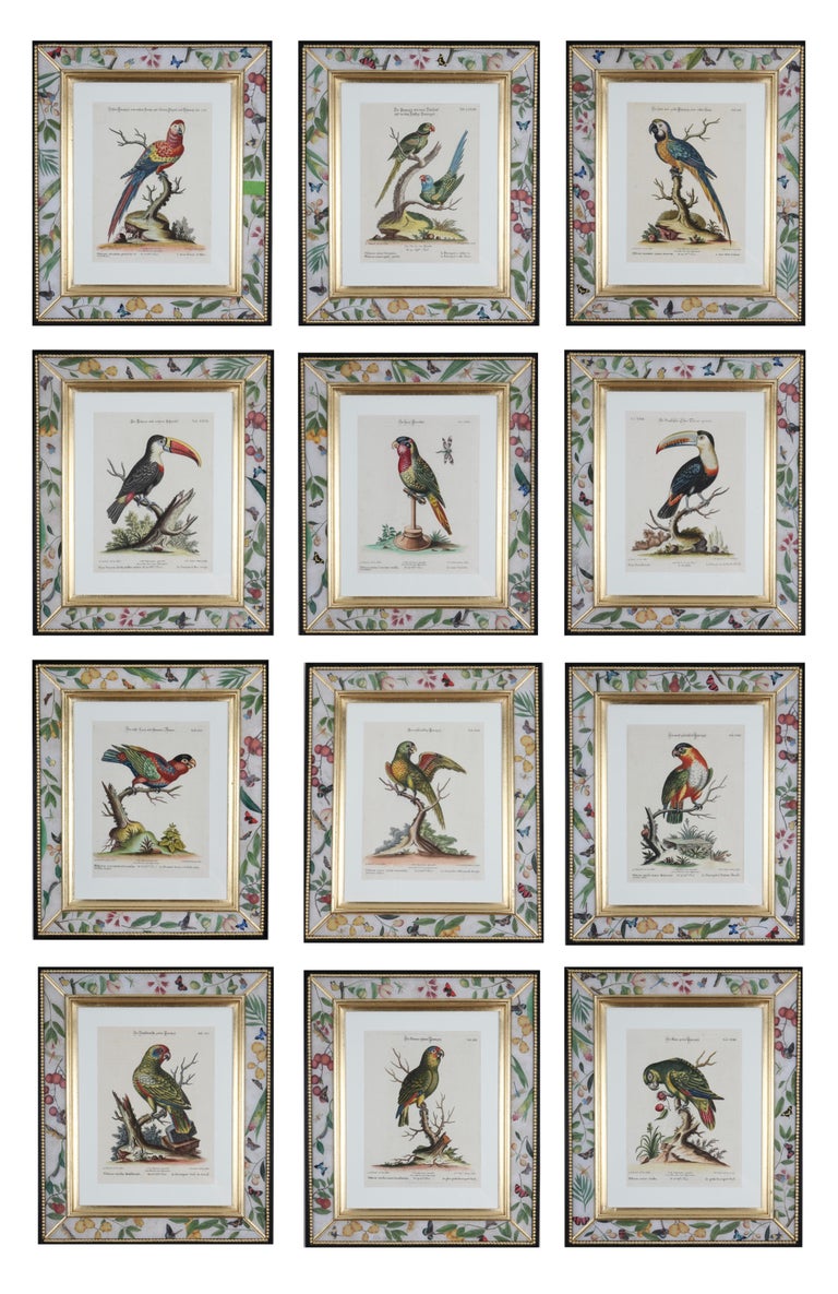 PRICE IS FOR THE SET OF TWELVE

"Sammlung Verschiedenr Auslandischer und Selener Vogel", Nuremberg 1770-1773. Edited by Johann Michael Seligmann (1749 -1776): engravings with original hand-colouring after the drawings by George Edwards.

A prominent