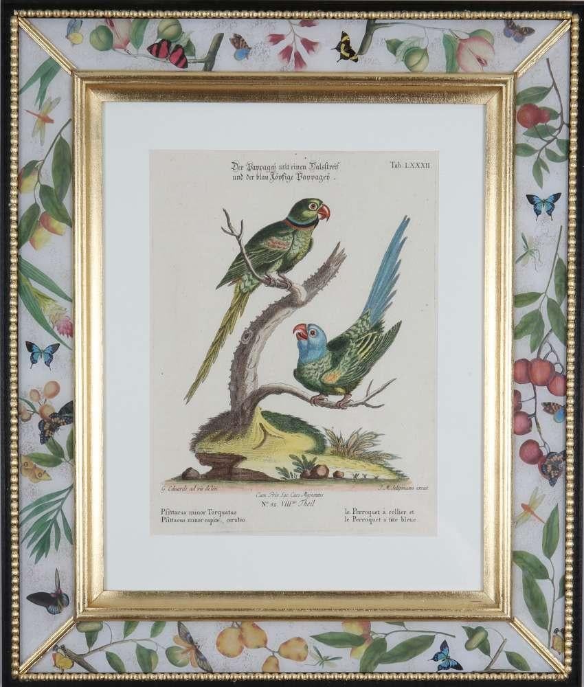 LE PRIX EST POUR CHAQUE TIRAGE ENCADRÉ

"Sammlung Verschiedenr Auslandischer und Selener Vogel", Nuremberg 1770-1773. Édité par Johann Michael Seligmann (1749 -1776) : gravures avec coloration manuelle originale d'après les dessins de George