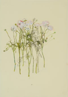 Flower Circle (Ranunculus), Mixed media on Pergamenata parchment