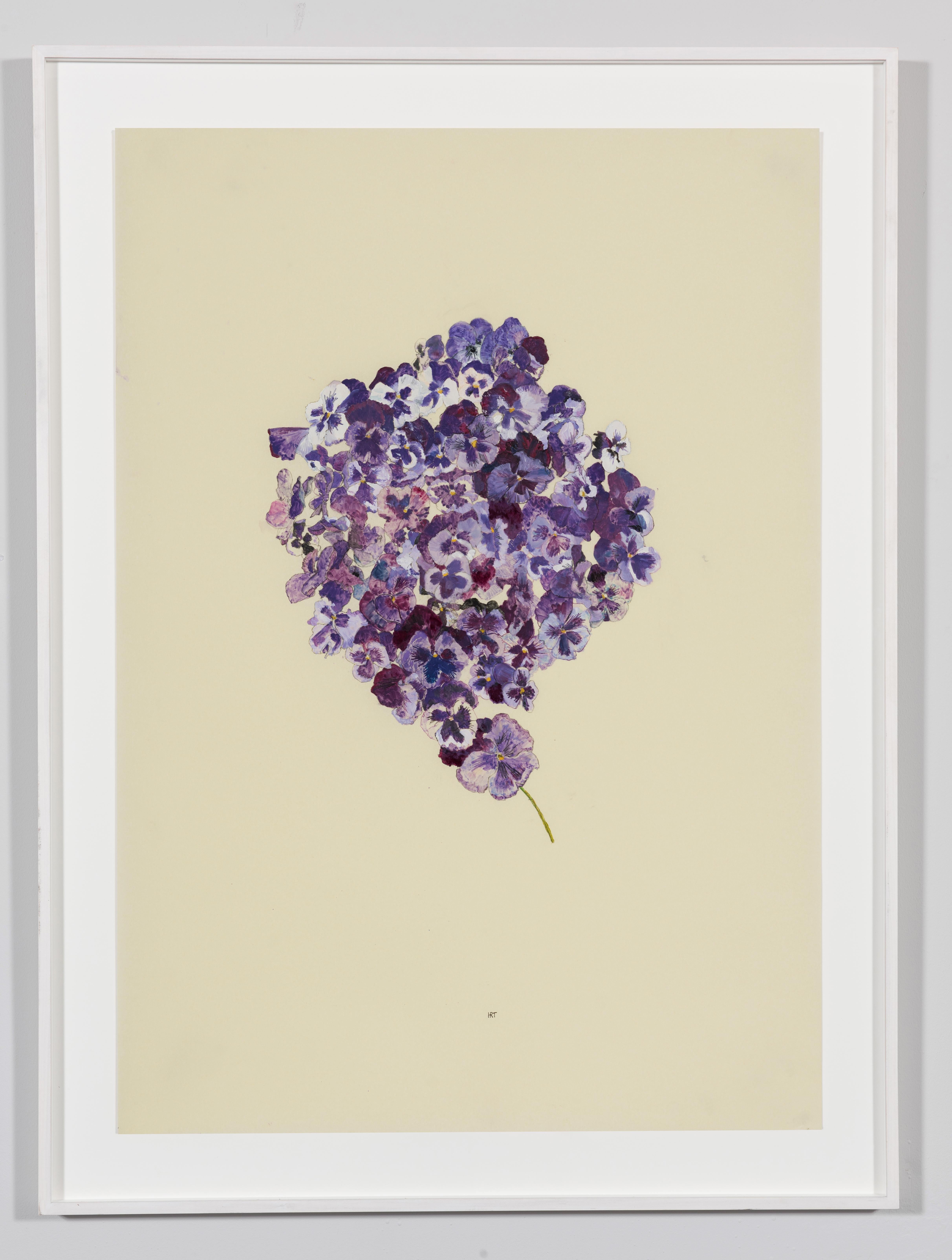 Purple Pansy Square, Mixed media on Pergamenata parchment - Art by Howard Tangye