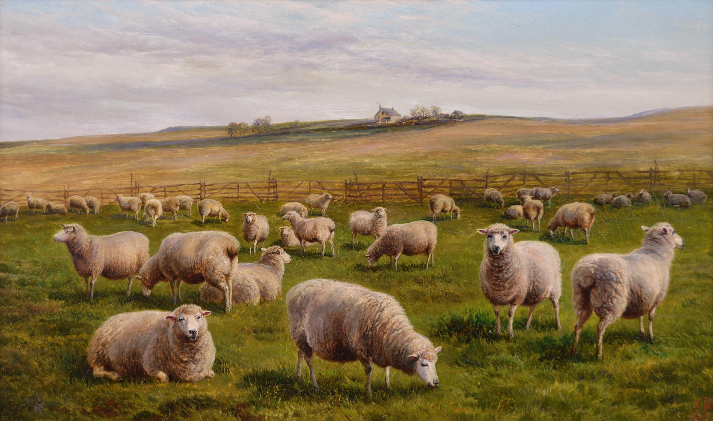19th Century landscape oil painting of Sheep - Painting by Charles Jones (b.1836)