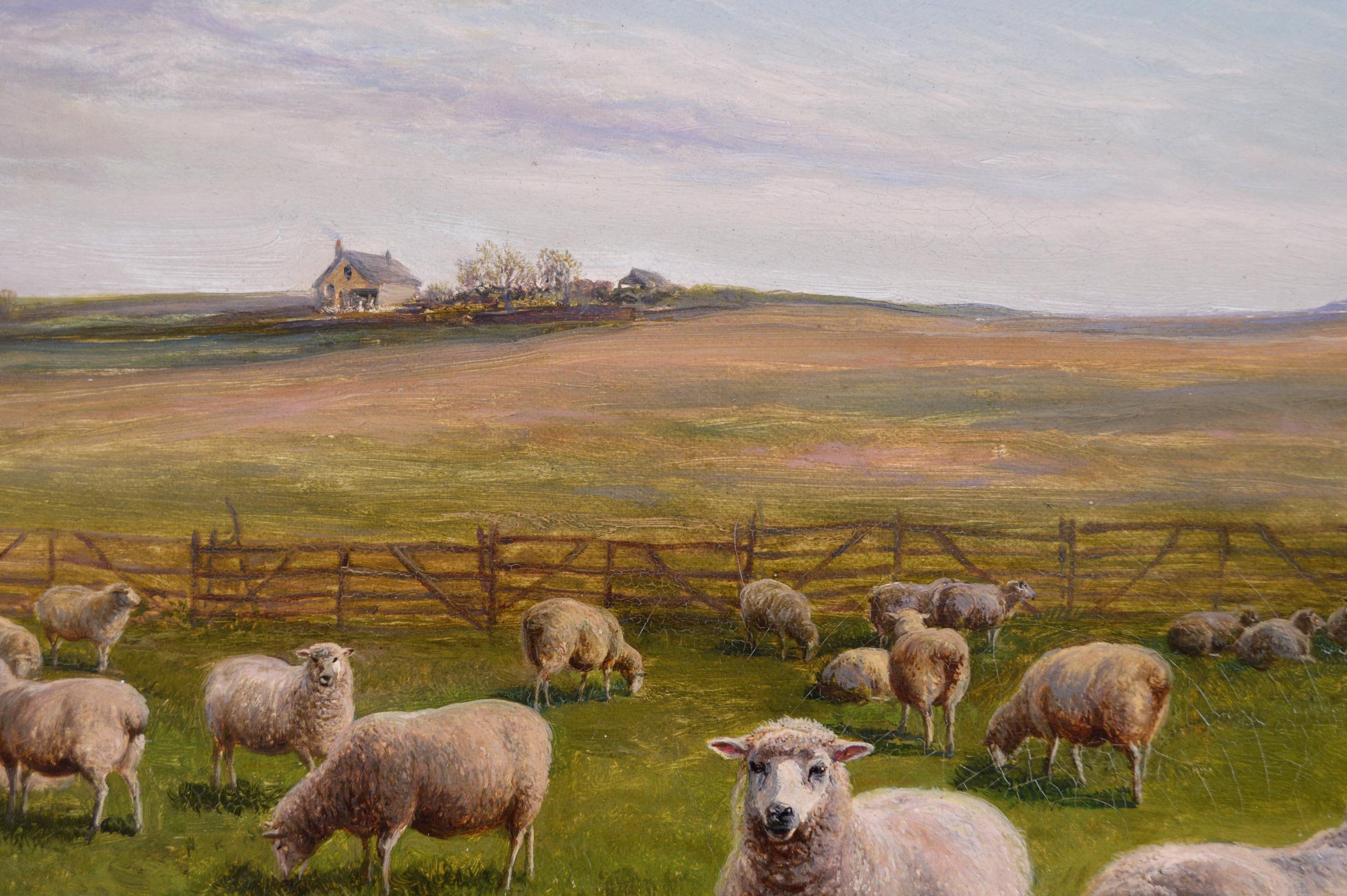 sheep oil painting