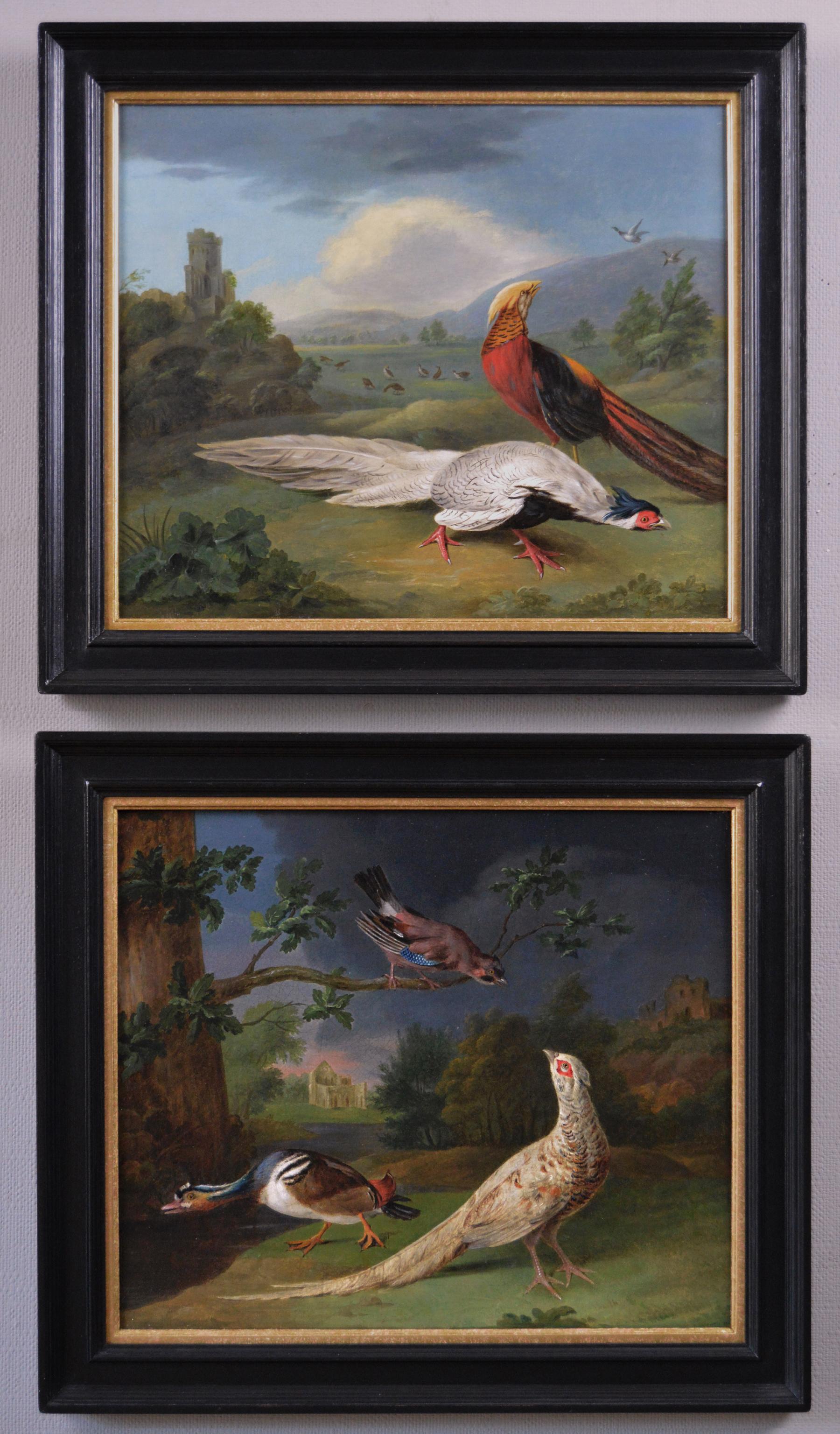 Johann Heinrich Tischbein the Younger Animal Painting - Pair of 18th century oil paintings of exotic & European birds set in landscapes