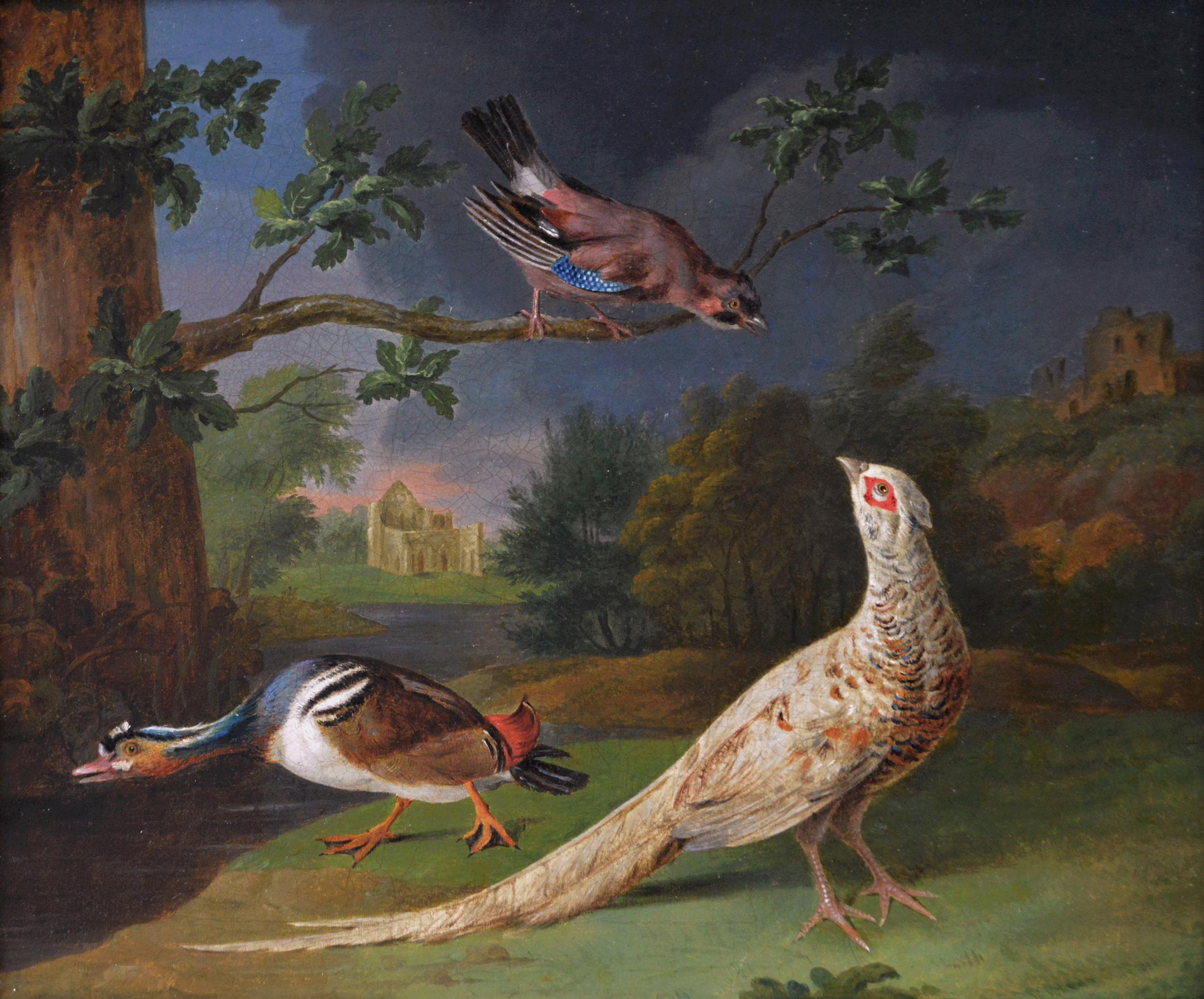 Pair of 18th century oil paintings of exotic & European birds set in landscapes - Painting by Johann Heinrich Tischbein the Younger