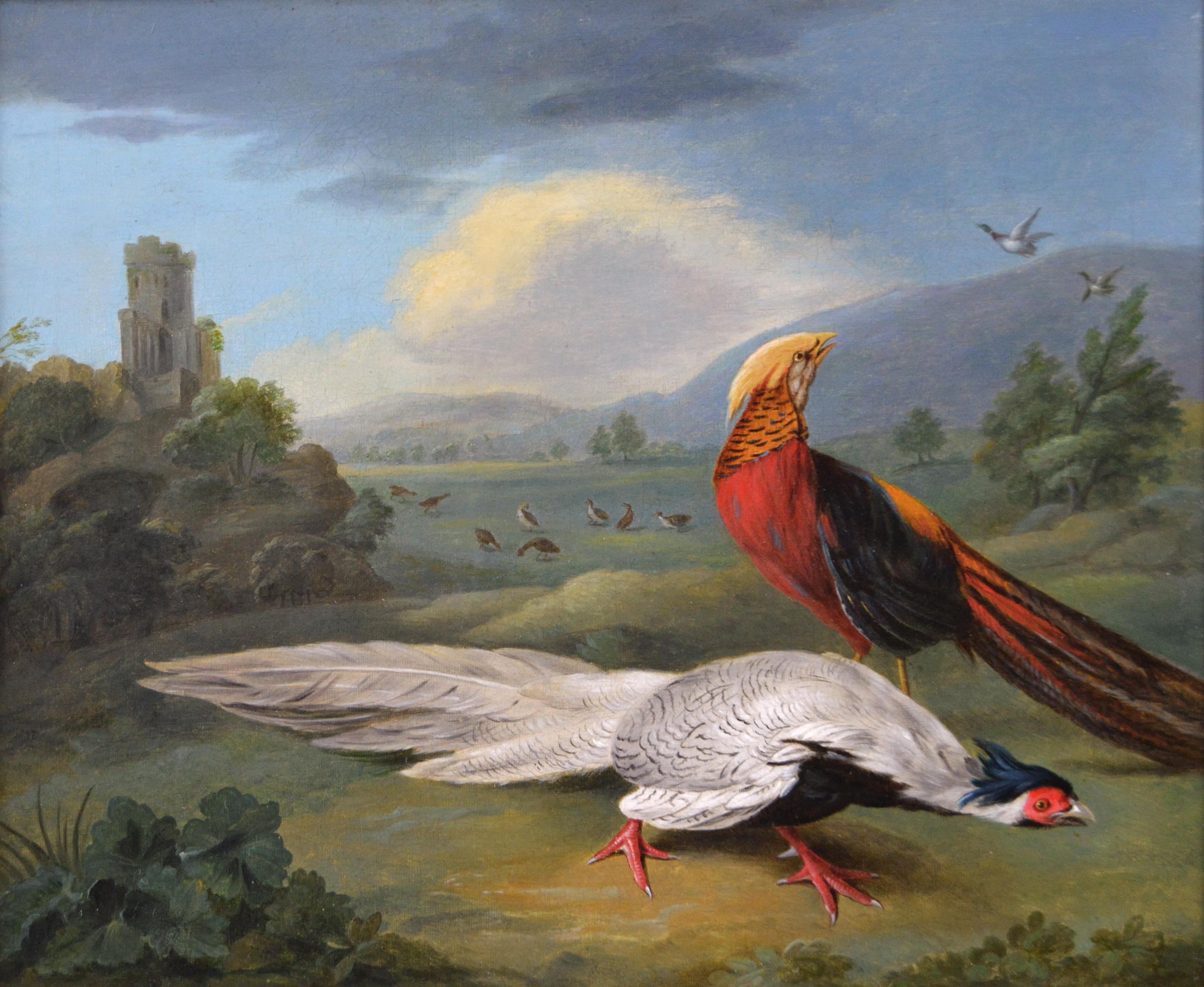 Pair of 18th century oil paintings of exotic & European birds set in landscapes - Old Masters Painting by Johann Heinrich Tischbein the Younger