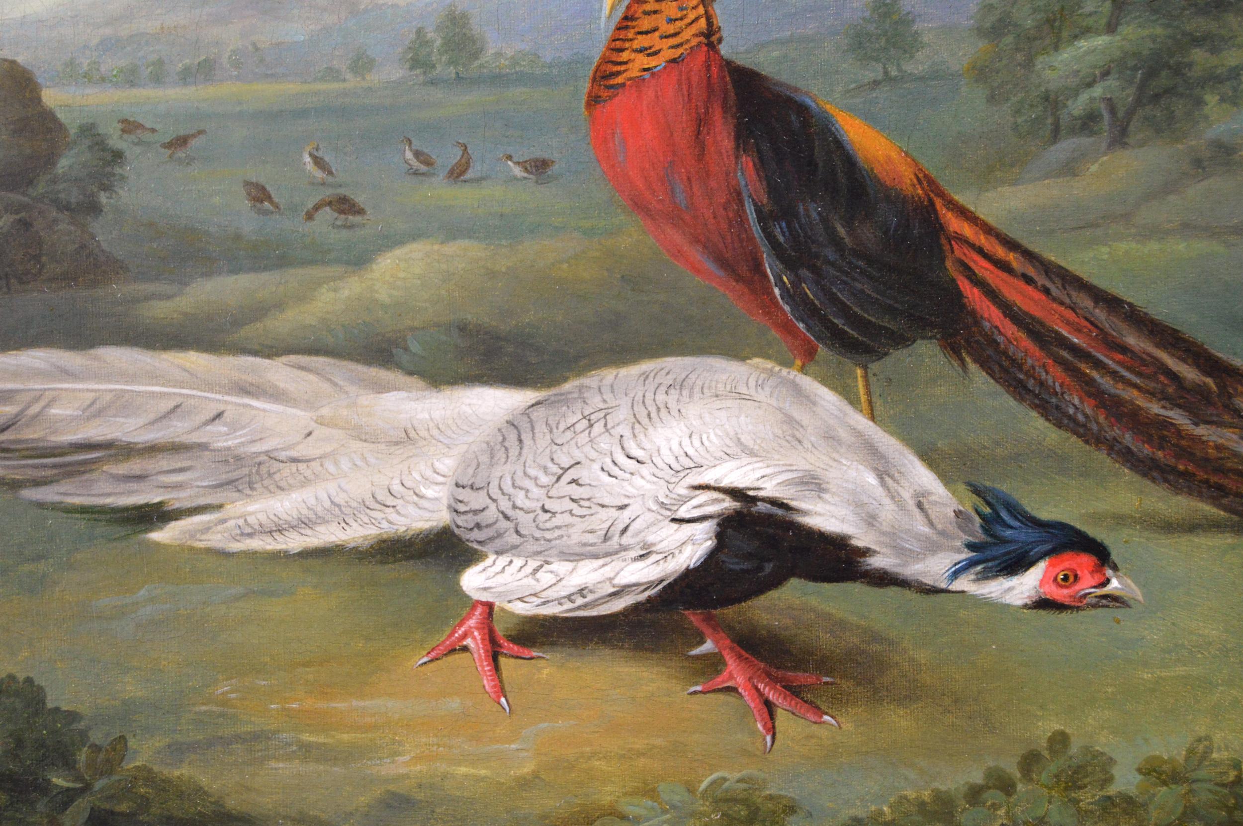 Pair of 18th century oil paintings of exotic & European birds set in landscapes - Black Animal Painting by Johann Heinrich Tischbein the Younger