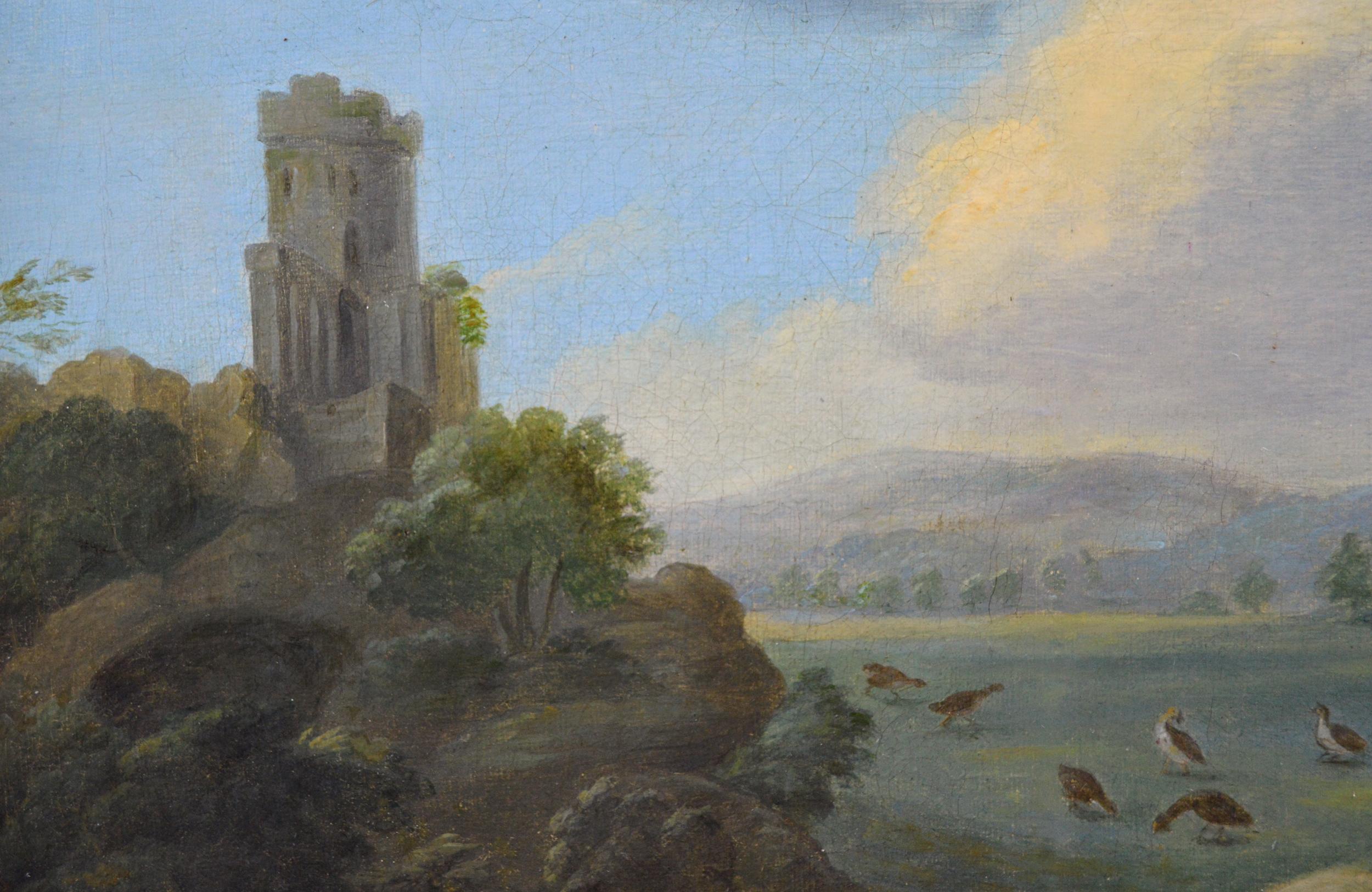 Pair of 18th century oil paintings of exotic & European birds set in landscapes 1