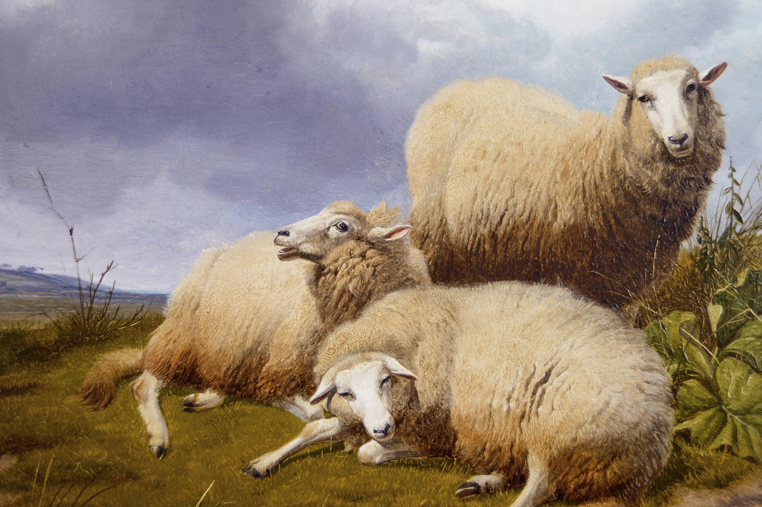 19th Century landscape oil painting of sheep  (Viktorianisch), Painting, von Thomas Sidney Cooper