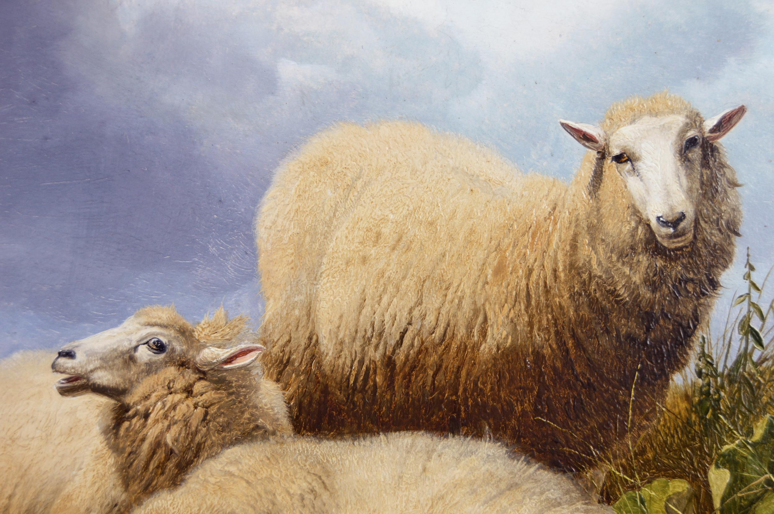 19th Century landscape oil painting of sheep  (Braun), Animal Painting, von Thomas Sidney Cooper