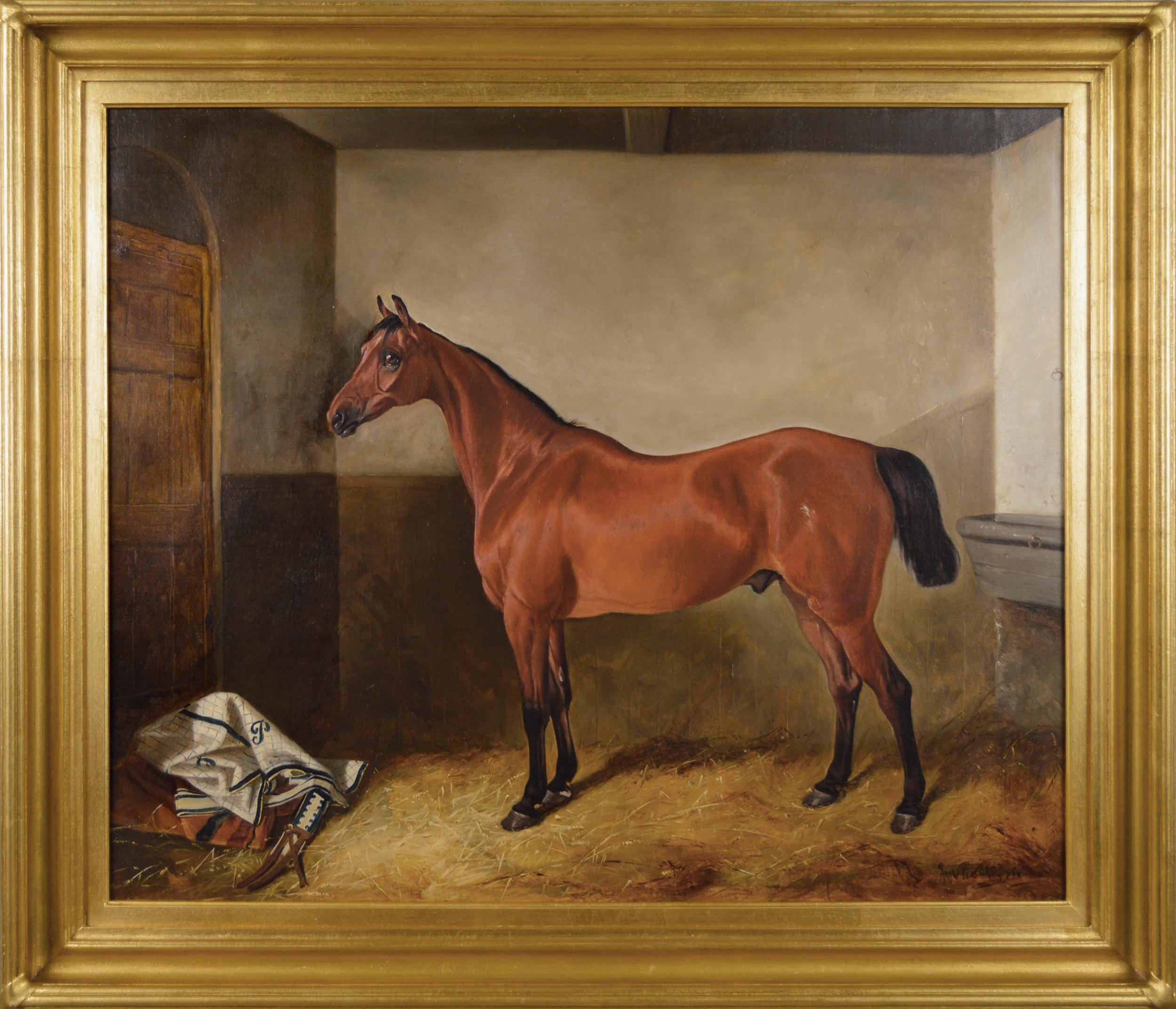 John Alfred Wheeler Animal Painting - 19th Century sporting horse portrait oil painting of bay hunter 