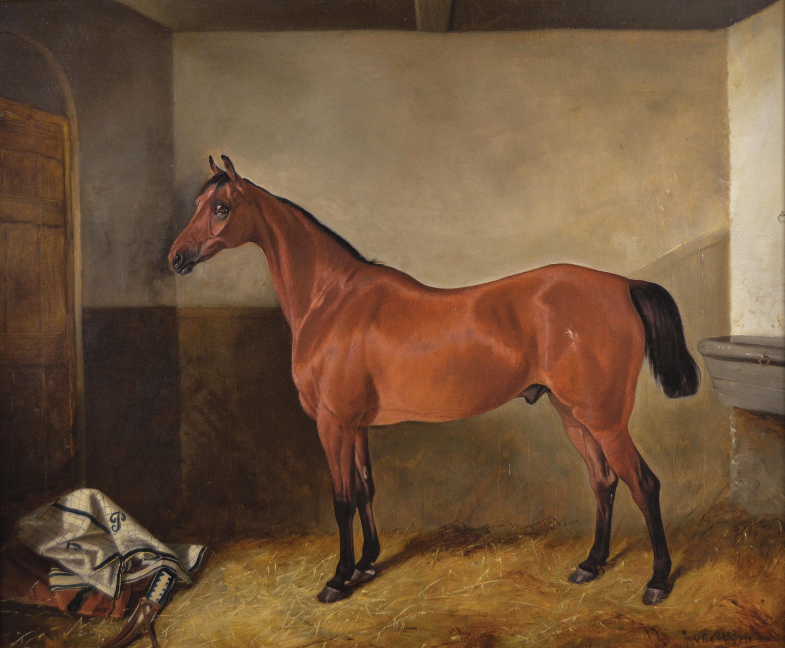 19th Century sporting horse portrait oil painting of bay hunter  - Painting by John Alfred Wheeler