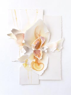 Romper, florecer 24-08