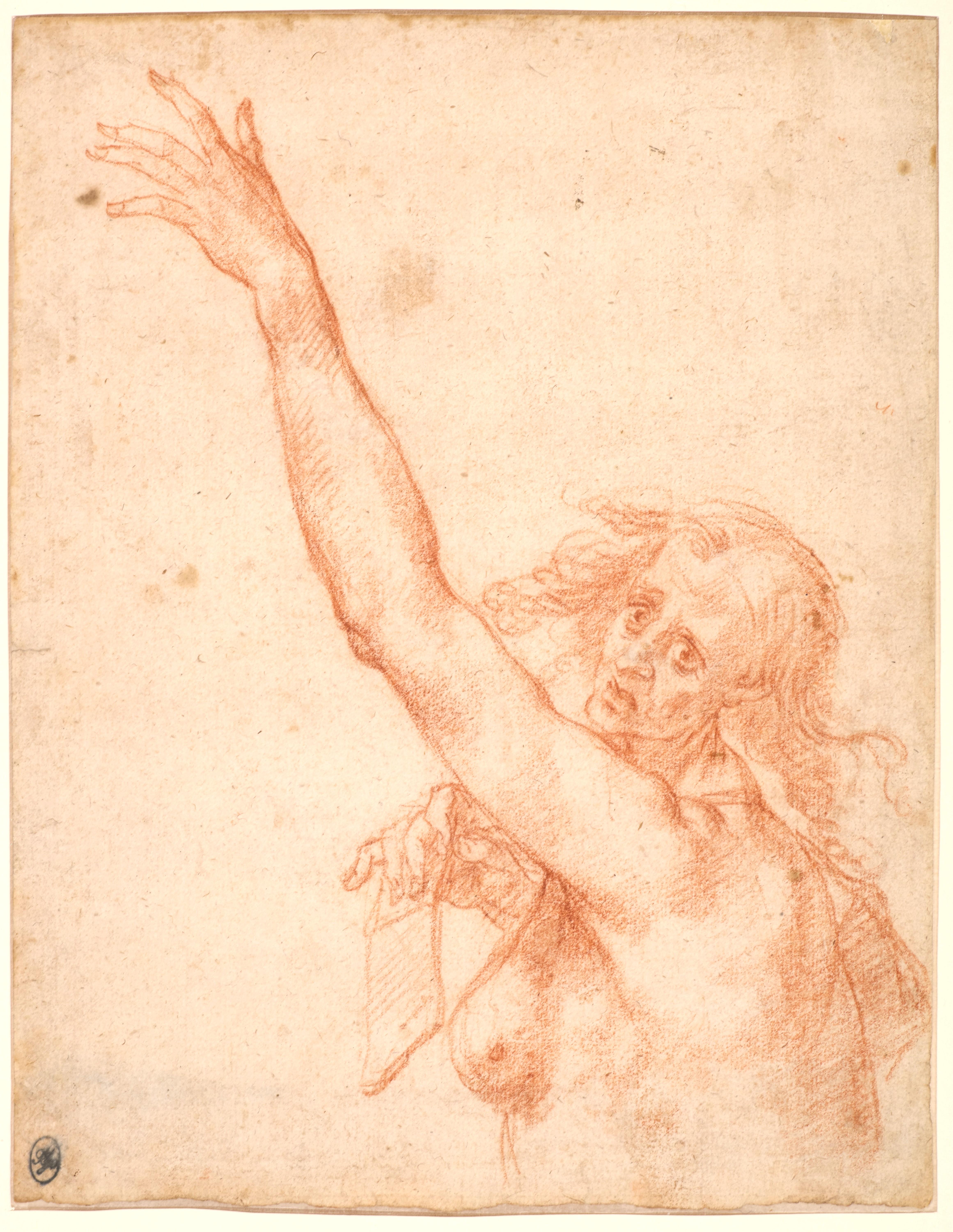 Giovanni Mannozzi, called Giovanni da San Giovanni Figurative Art - Study of a Fate at mid-body, a red chalk attributed to Giovanni da San Giovanni