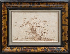 The Bird Tree, a drawing at the edge of fantasy by Albert Flamen (17th century)