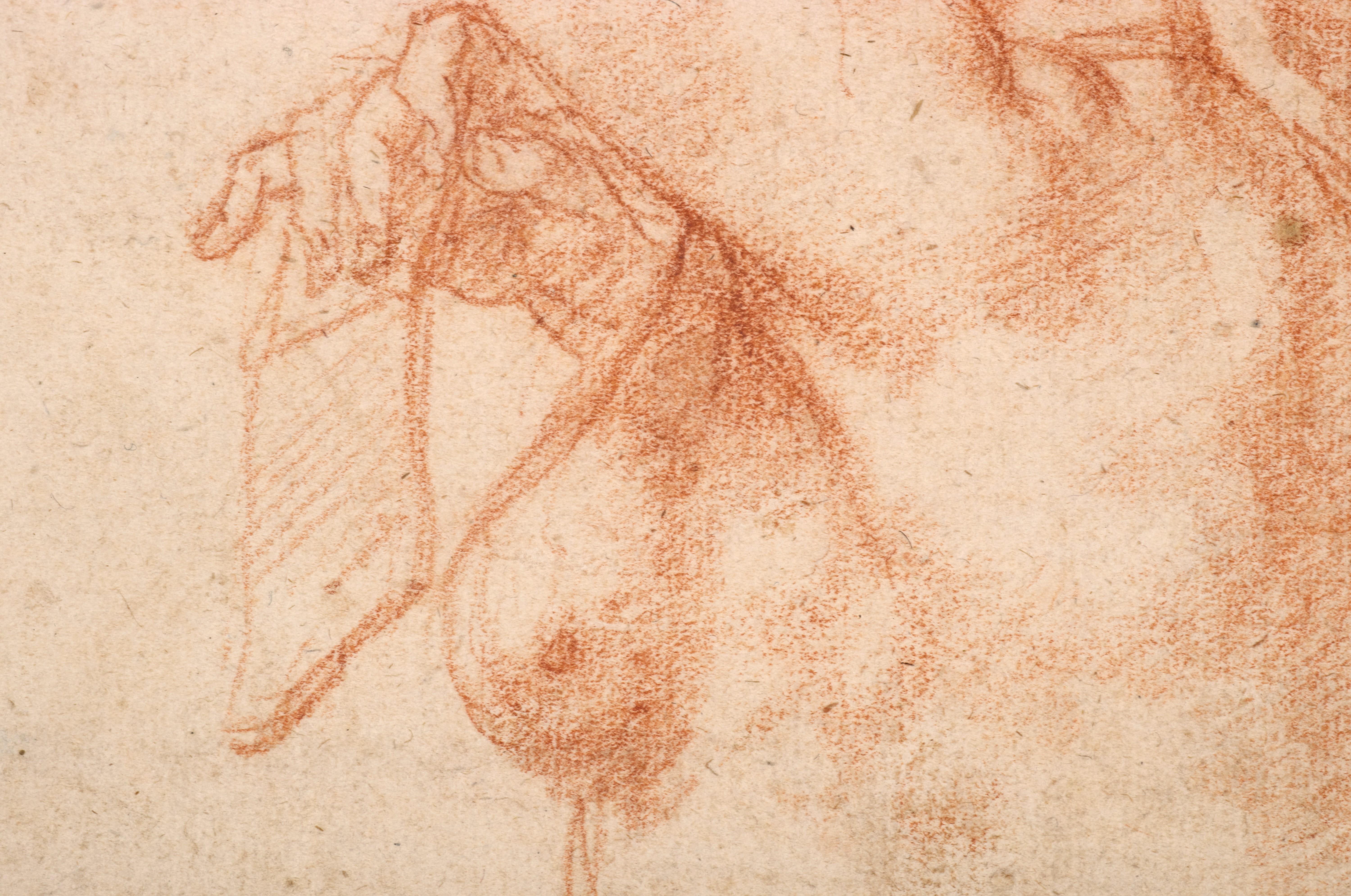 Étude d'une fate au milieu du corps, une craie rouge attribuée à Giovanni da San Giovanni - Orange Figurative Art par Giovanni Mannozzi, called Giovanni da San Giovanni