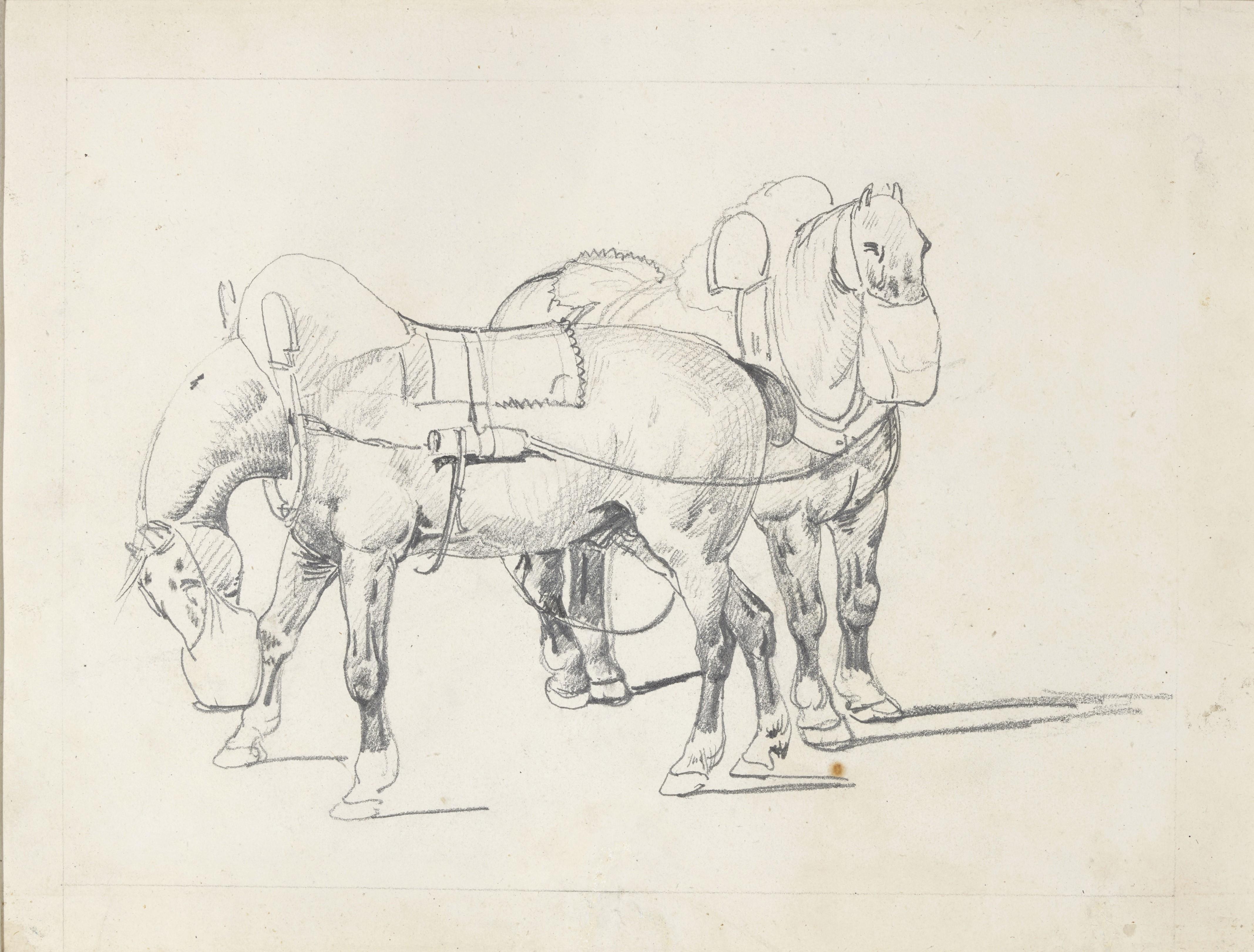 Double-sided Horse Studies by Théodore Géricault - Brown Animal Art by Jean Louis Andre Theodore Gericault