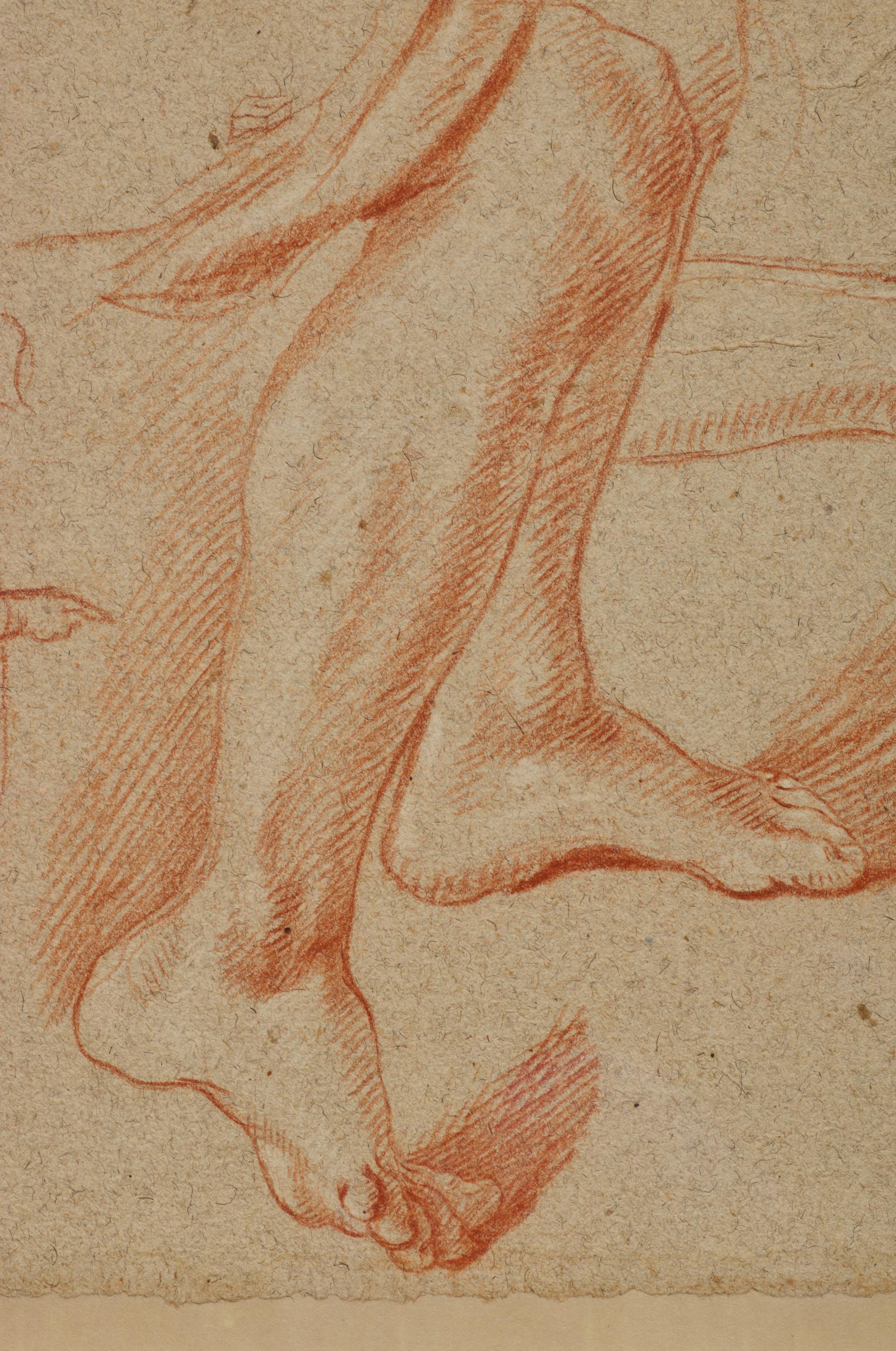 A red chalk study sheet by Baldassare Franceschini, known as Volterrano For Sale 2