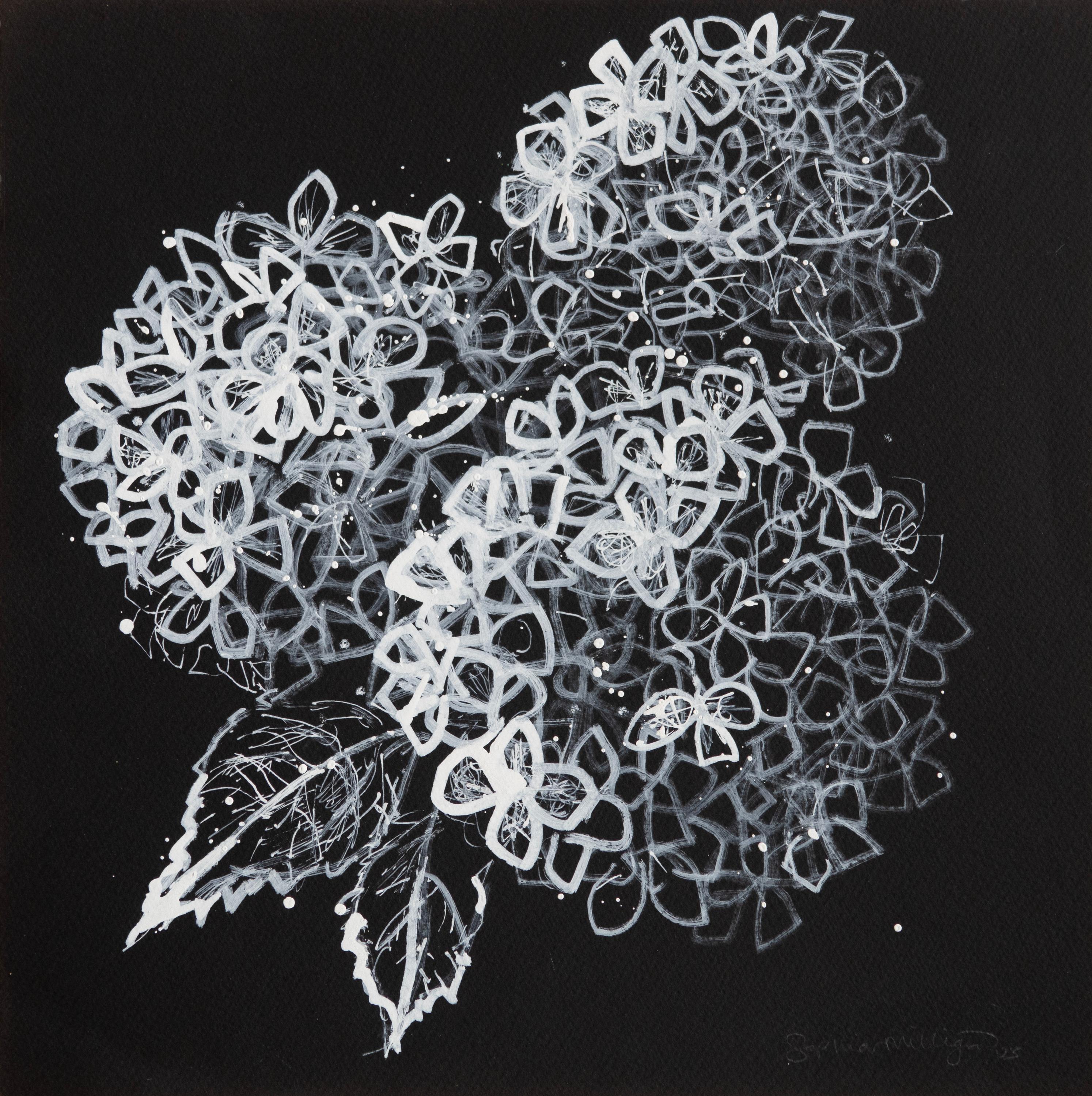 Hortensien in Weiß" Zeitgenössische monochrome Schwarz-Weiß-Zeichnung Natur minimal – Art von Sophia Milligan