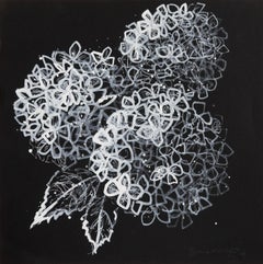 'Hydrangeas in White' Contemporary monochrome black white drawing nature minimal