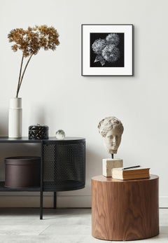 'Hydrangeas in White' Contemporary monochrome black white drawing nature minimal