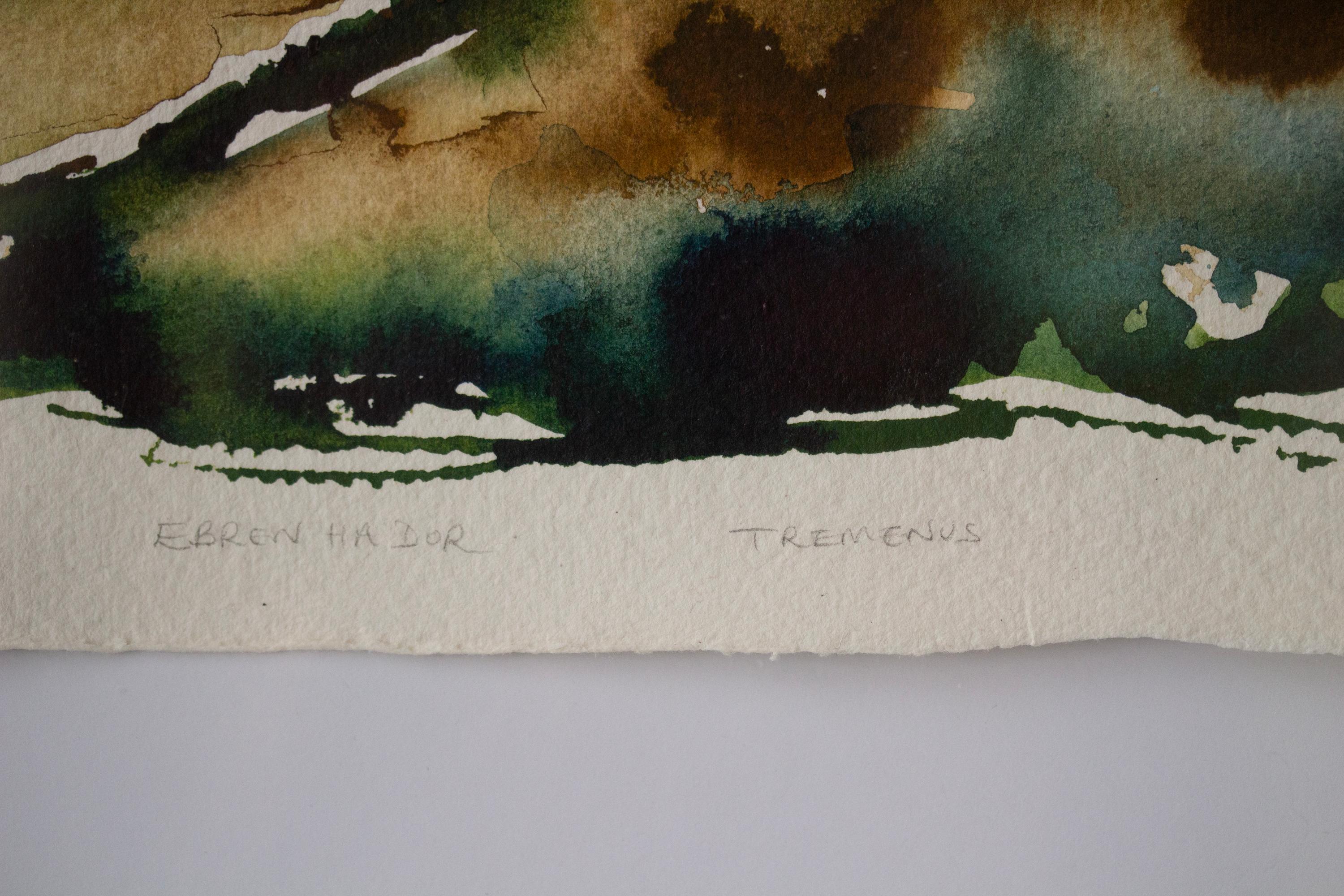 „Ebren Ha Dor, Tremenus“. Gerahmte zeitgenössische Landschaft, ländliche himmelblaue Natur (Zeitgenössisch), Art, von Sophia Milligan