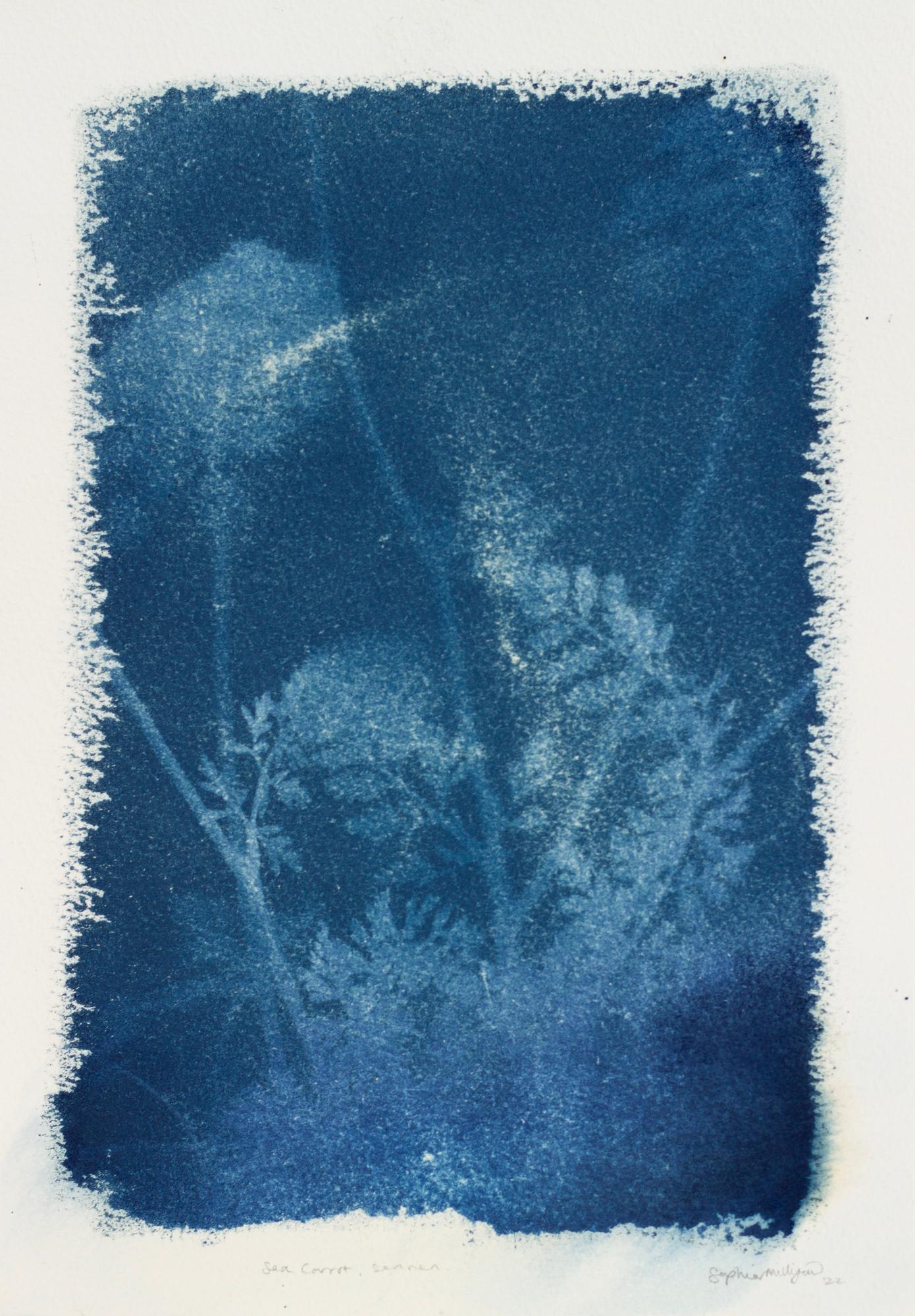 Omvetya III". Blue white shore ocean beach cottage abstract nature drawing