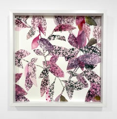 Framed Square Botanical Watercolor by Rachel Kohn - Pink Splash Plant