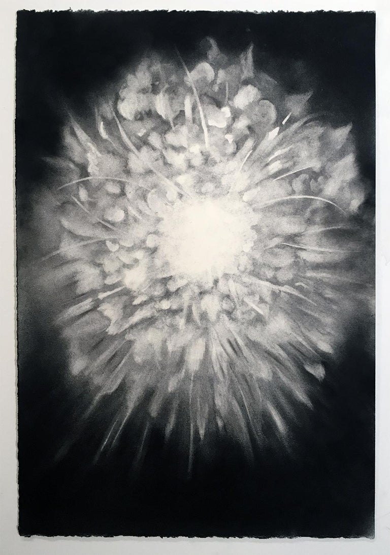 She is Benediction, meditative charcoal black and white still life from nature - Art by Melissa Reischman