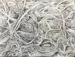 Organic biomorphic graphite drawing by Marcie Begleiter - The Underneath