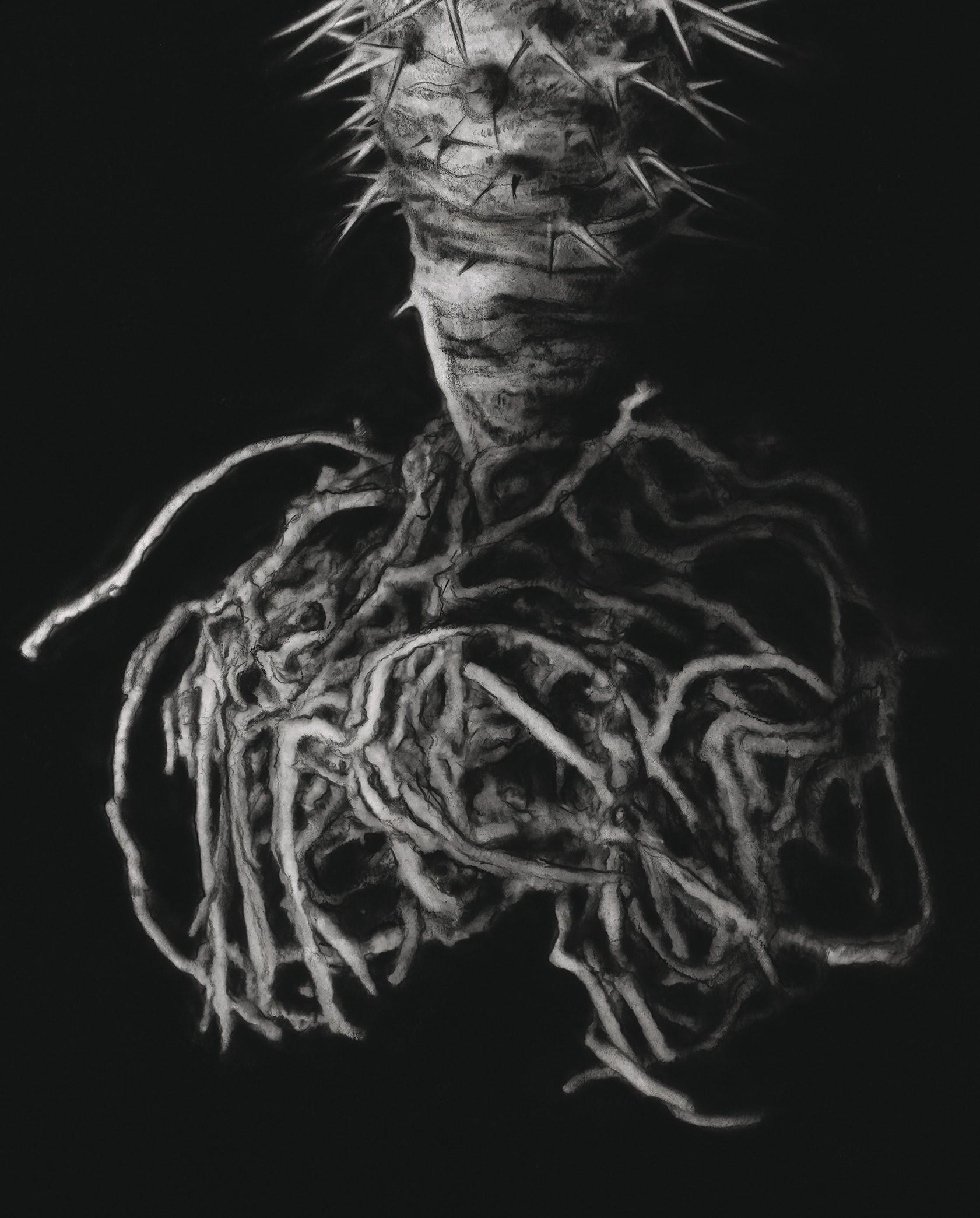 Hyperrealist Charcoal on Archival Paper Botanic Artwork 