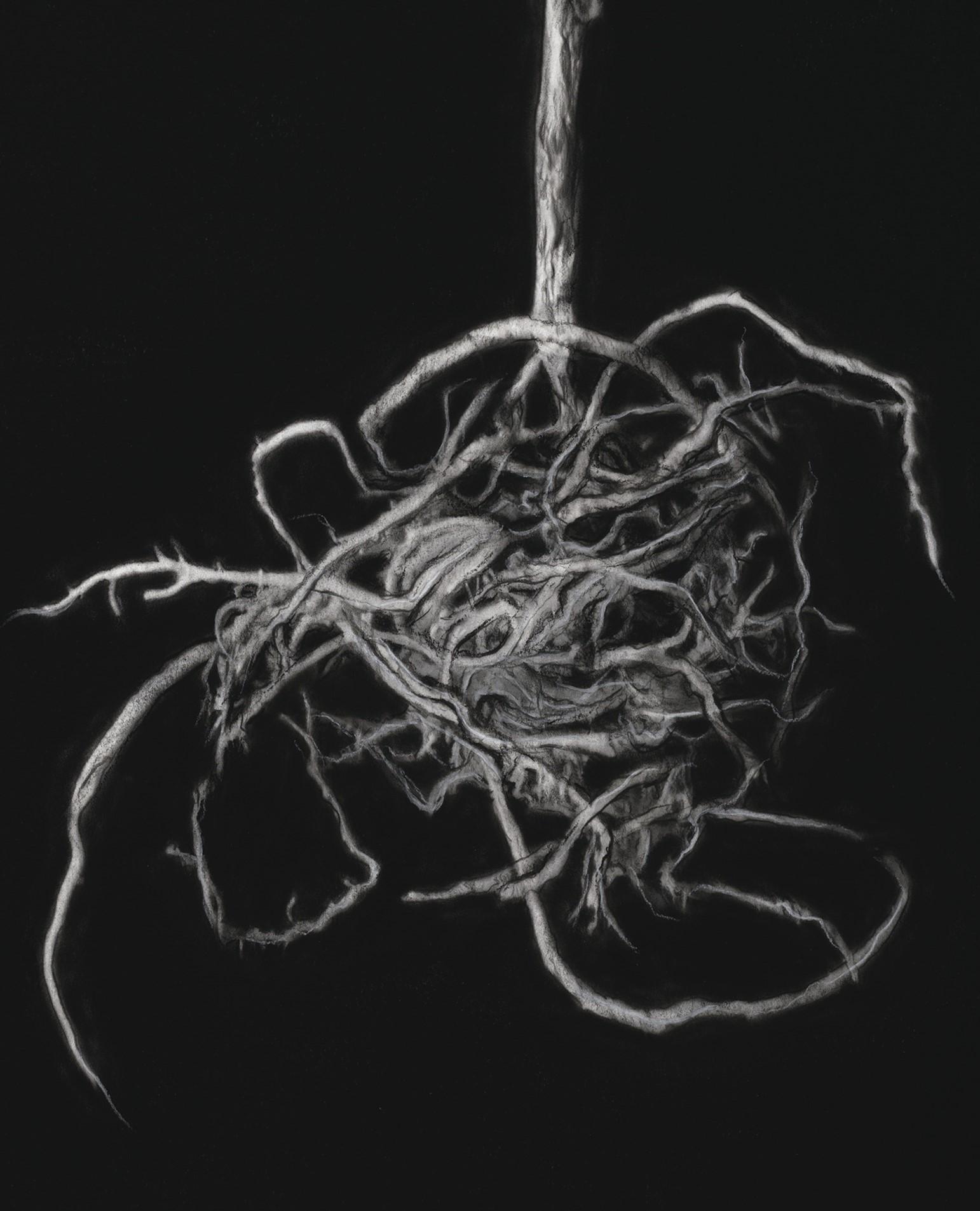 Hyperrealistische Kohle auf Archivpapier, botanisches Kunstwerk „Ruschia Crassa“ im Angebot 1