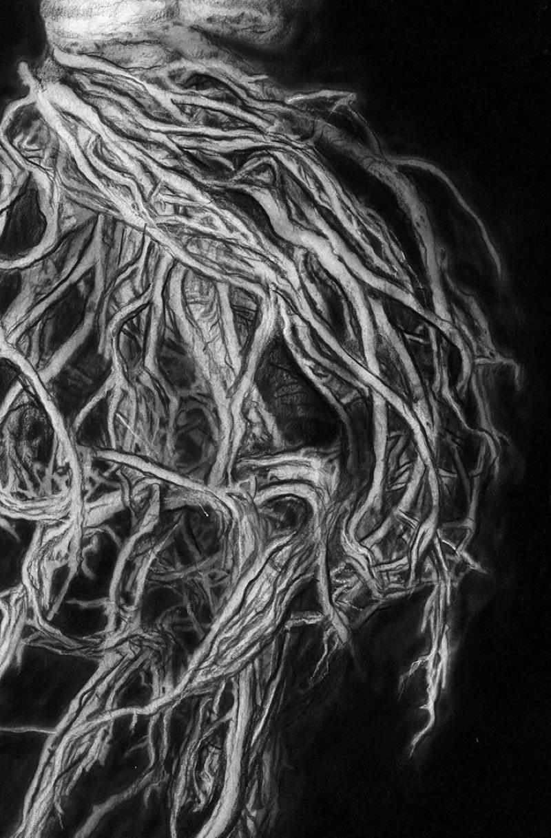 In Henk Serfonteins jüngster Serie von Kohlezeichnungen, Fragile Flora, setzt er seine Untersuchung des Zerbrechlichen, Intimen und Ätherischen fort. In seinen Pflanzenporträts fängt er mit seinem mikroskopischen Auge einheimische Pflanzen mit