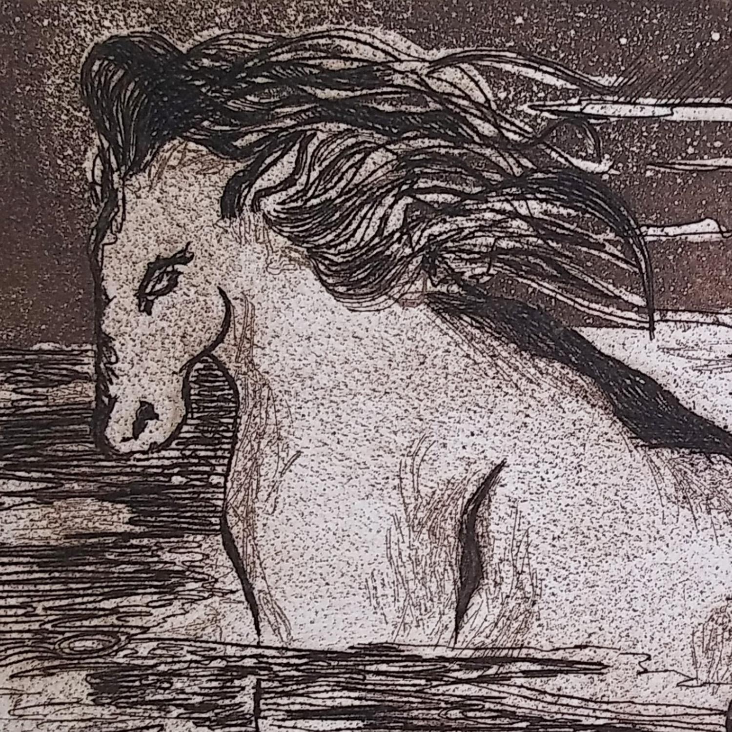 Il s'agit d'une gravure impressionniste de l'artiste de San Diego, Lenore Simon. Ses dimensions sont de 17x12. Un certificat d'authenticité suivra la livraison de cette œuvre d'art.

Il s'agit d'une belle gravure représentant un cheval dans l'eau.