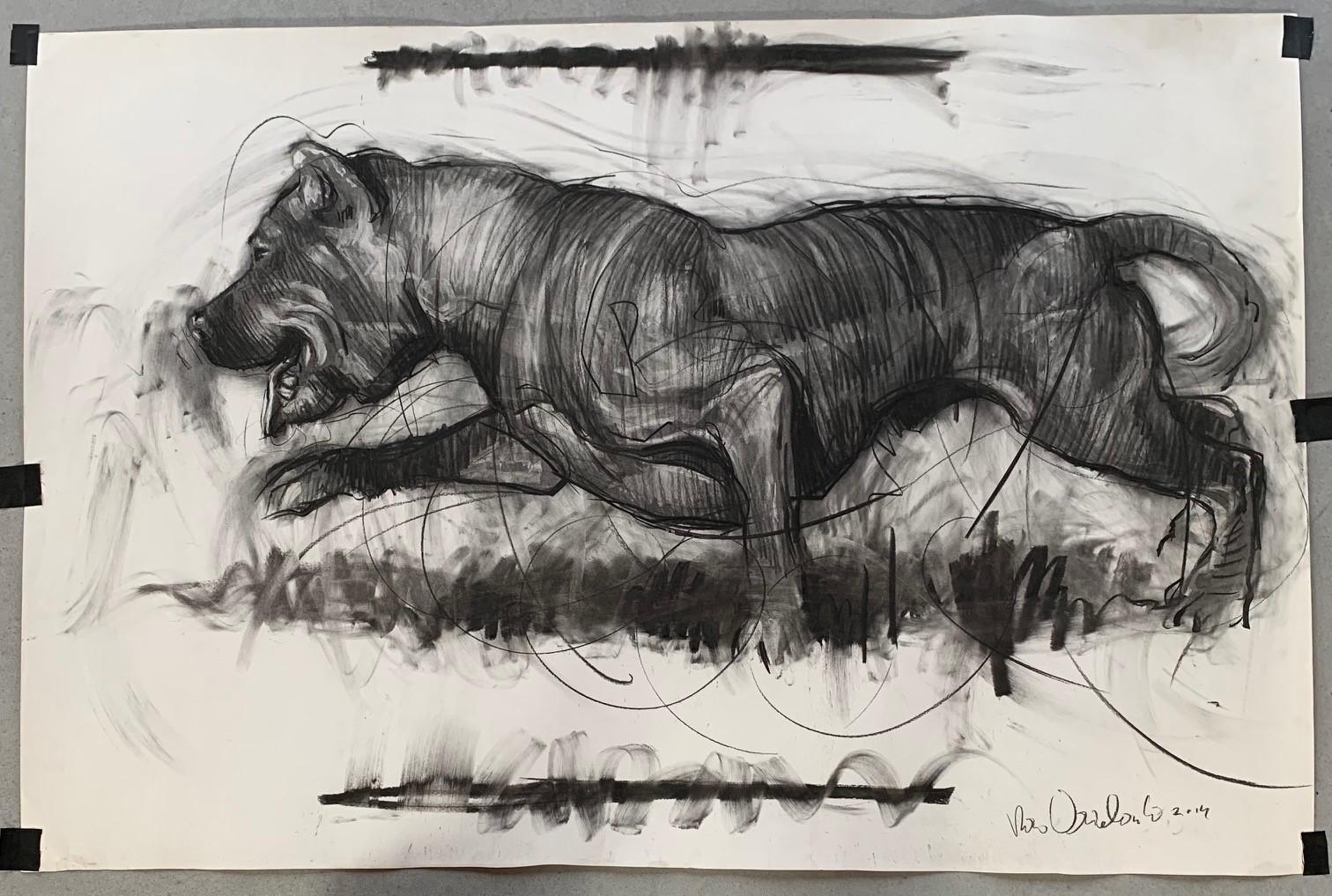 Nico Vrielink Animal Art - Running Dog Drawing on Paper Charcoal Animal In Stock