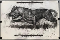 Running Dog Drawing on Paper Charcoal Animal In Stock