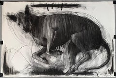 My Dog Kippy Drawing on Paper Charcoal In Stock