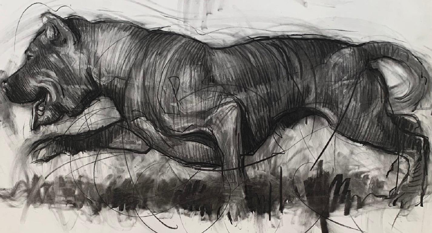 Running Dog Drawing on Paper Charcoal Animal In Stock - Art by Nico Vrielink