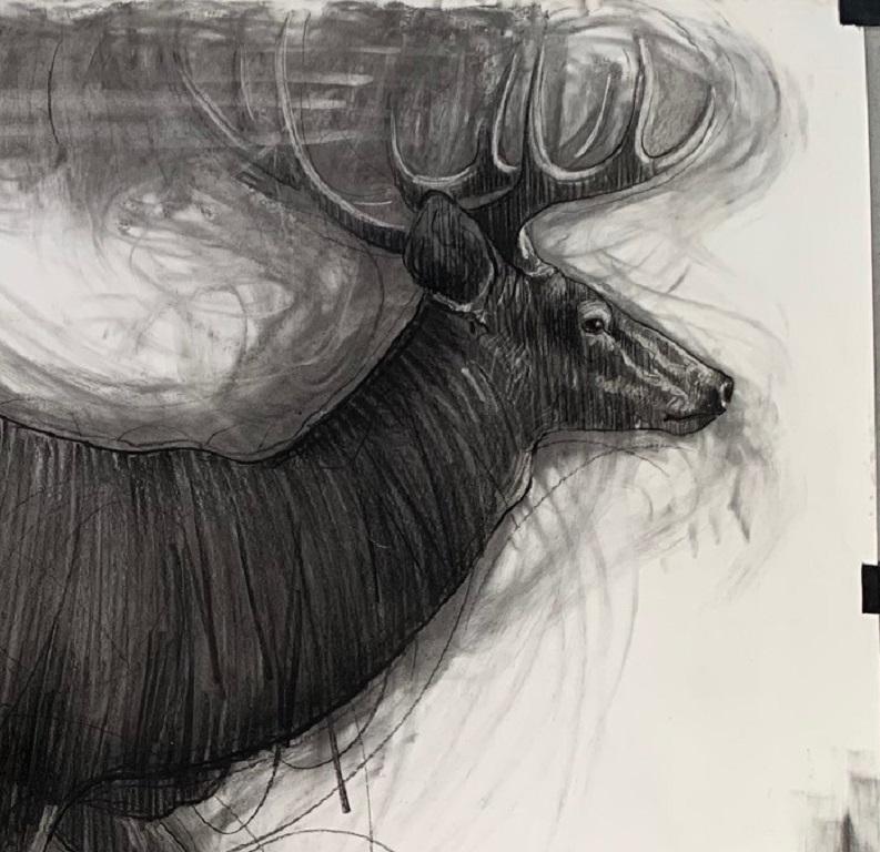 Running Deer Drawing on Paper Charcoal In Stock - Art by Nico Vrielink