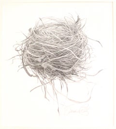 Susan Petty, Townee Nest