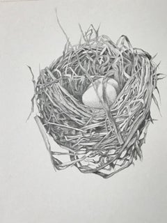 Teri Garcia, Monache Meadows Nest, Framed