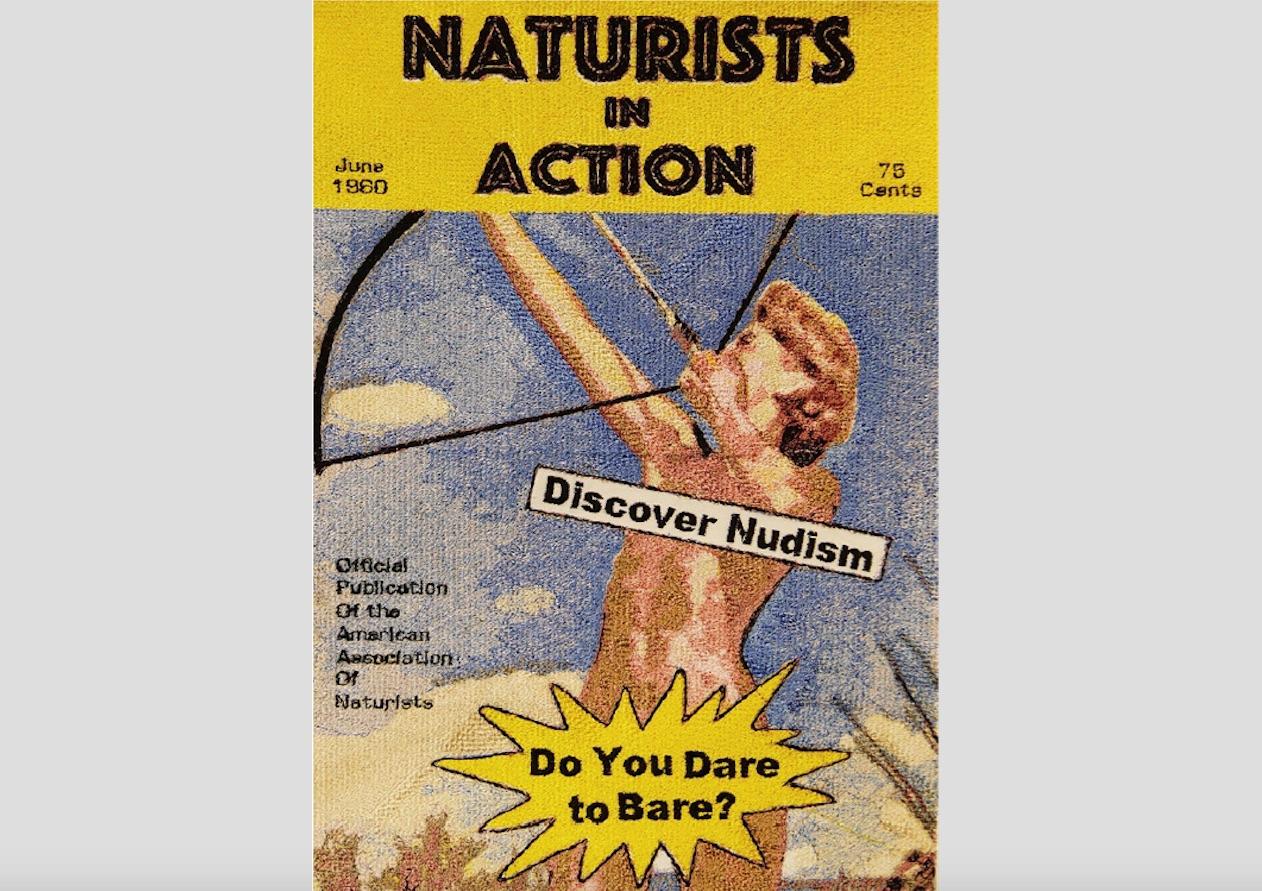 Blair Martin Cahill, Naturisti in azione, ricamo, cornice in vendita 1
