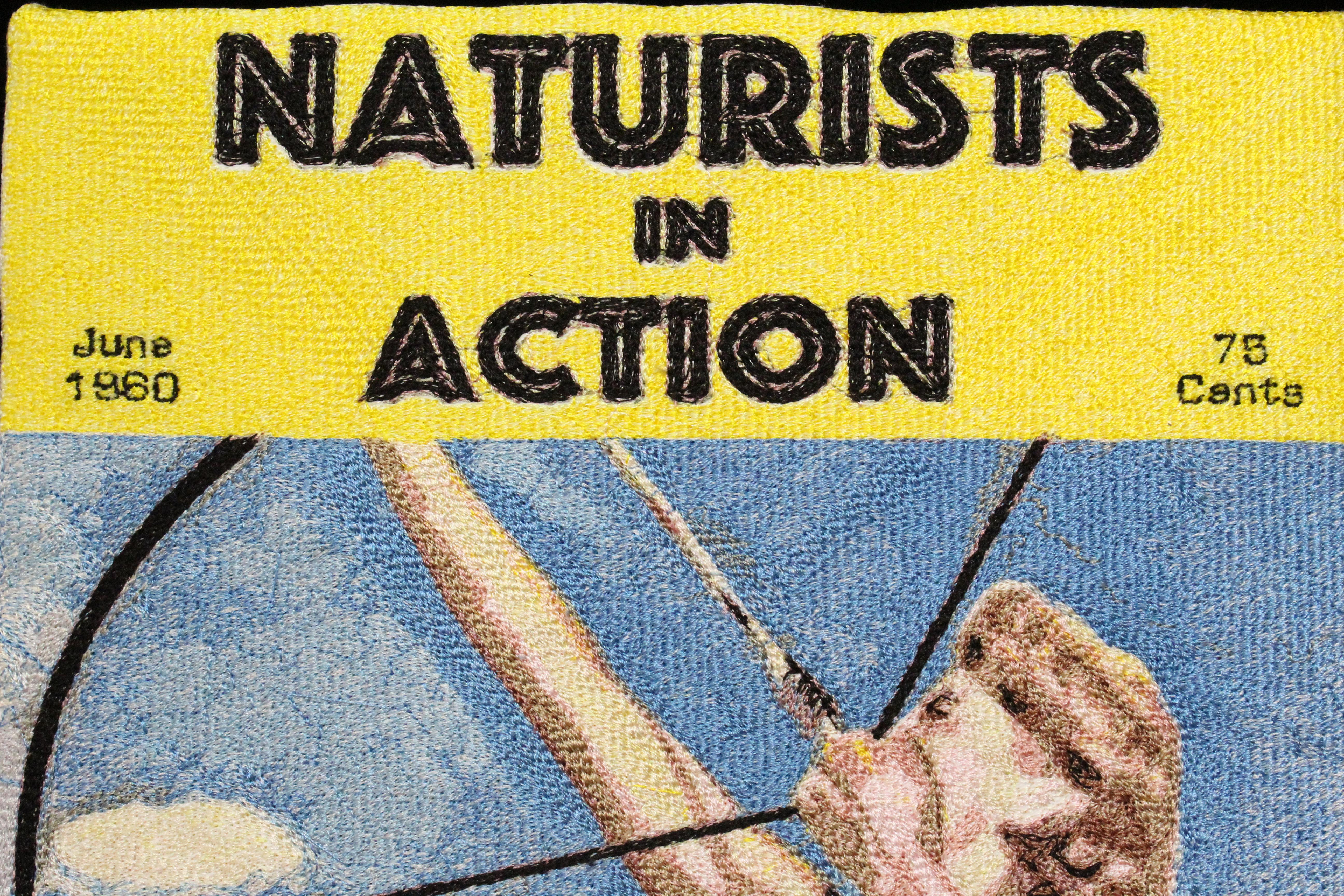 Blair Martin Cahill, Naturisti in azione, ricamo, cornice in vendita 3