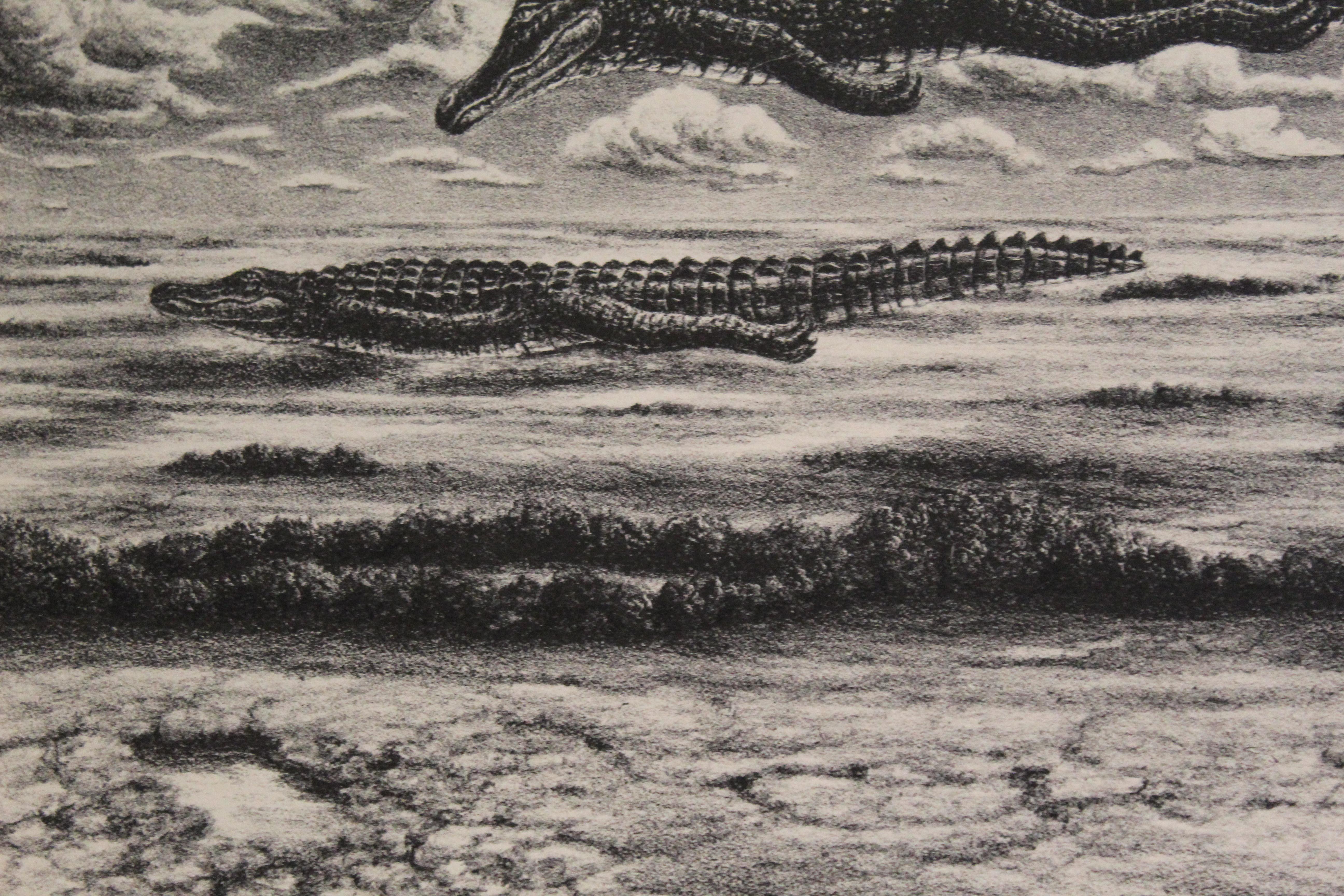 Steve Galloway, Alligators For Sale 3